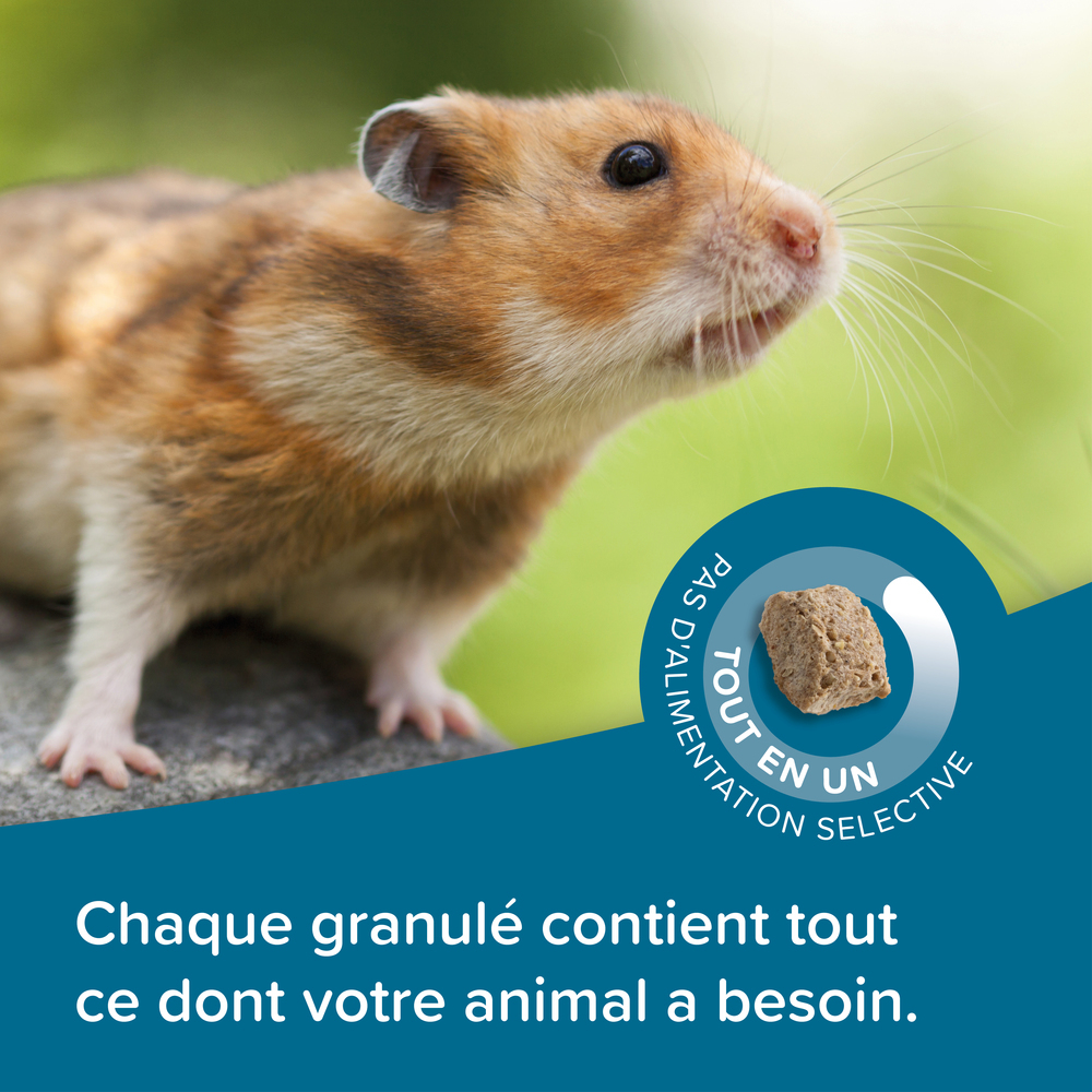 Care +, Alimentation extrudée super premium Hamster - 750 g