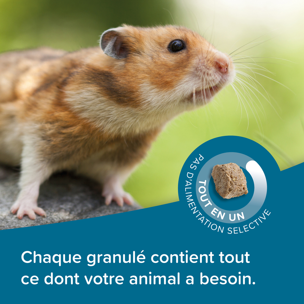 Care +, Alimentation extrudée super premium Hamster - 750 g