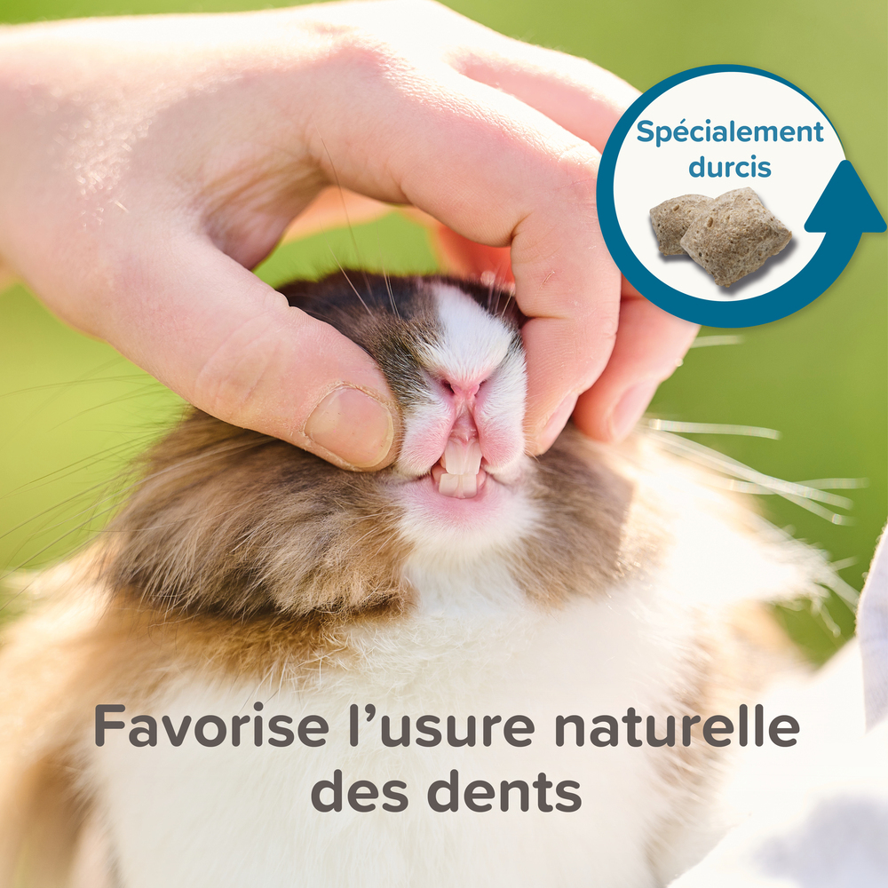 Care +, Alimentation extrudée super premium Rat -  750 g