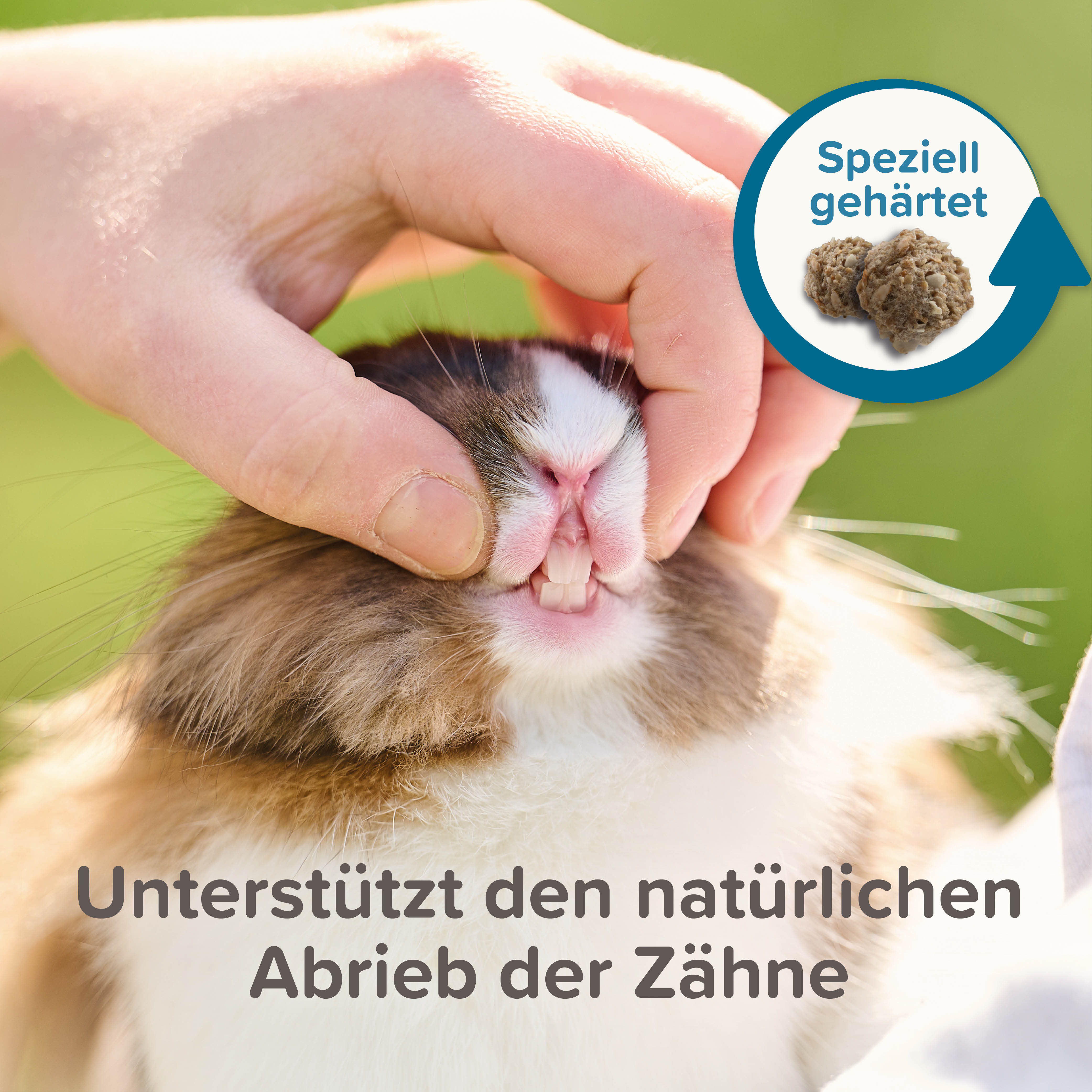 Beaphar Care+ Kaninchen Junior, 1,5kg