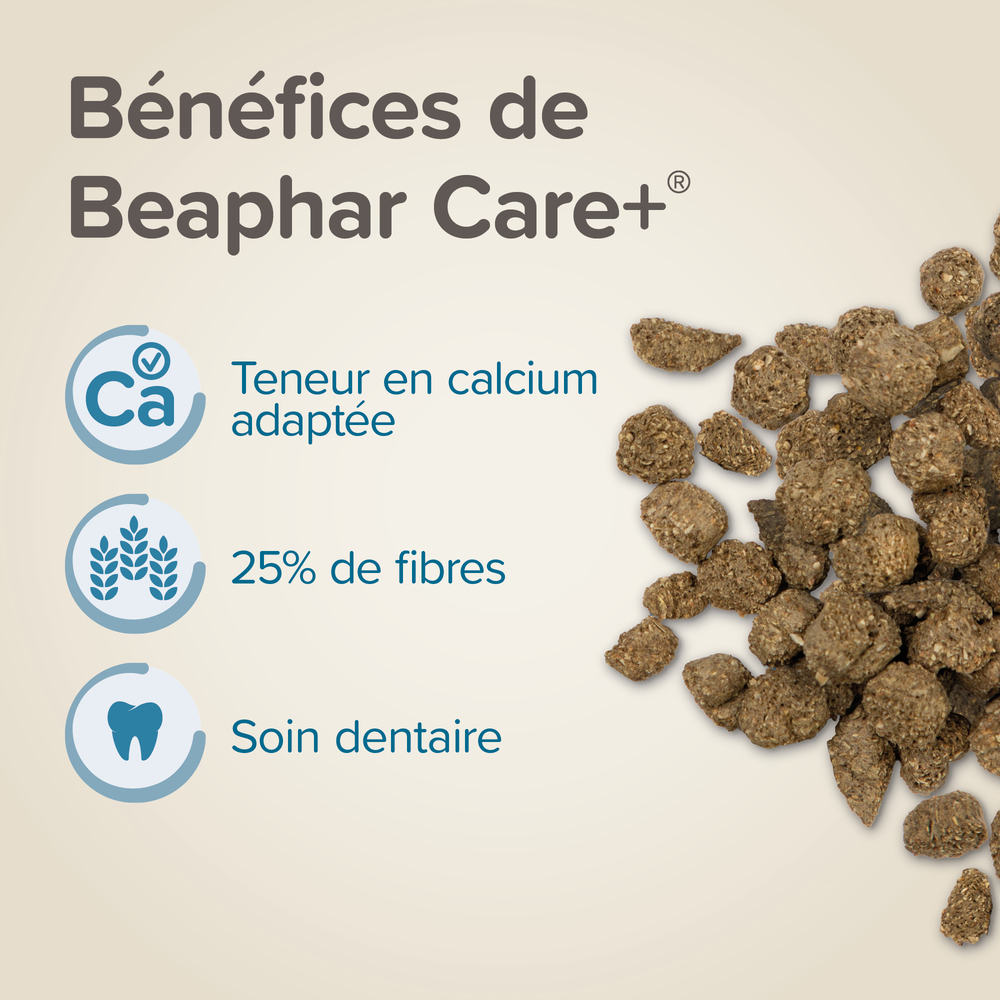 Alimentation extrudée super premium, Lapin senior