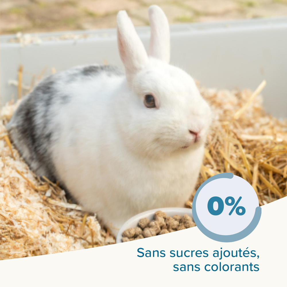 Alimentation extrudée super premium, Lapin senior