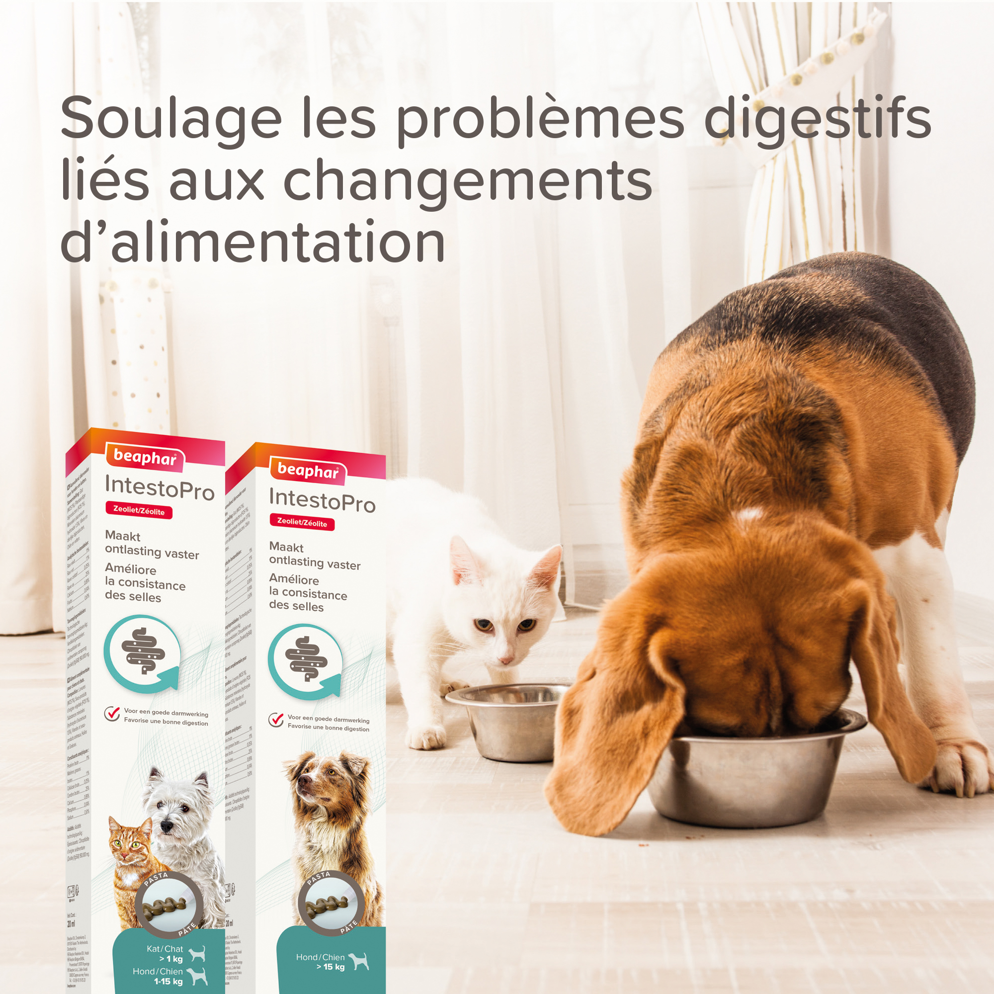 IntestoPro, pâte pour améliorer la consistance des selles pour chats et chiens