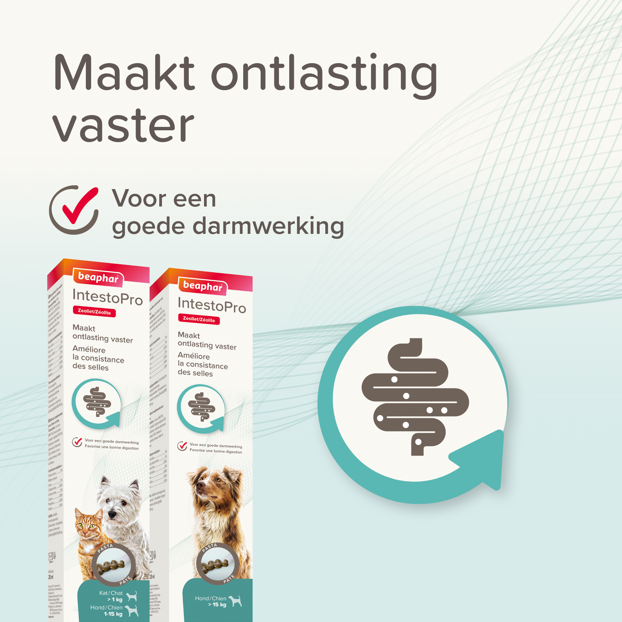 Beaphar IntestoPro Pasta kat/hond tot 15kg 20ml