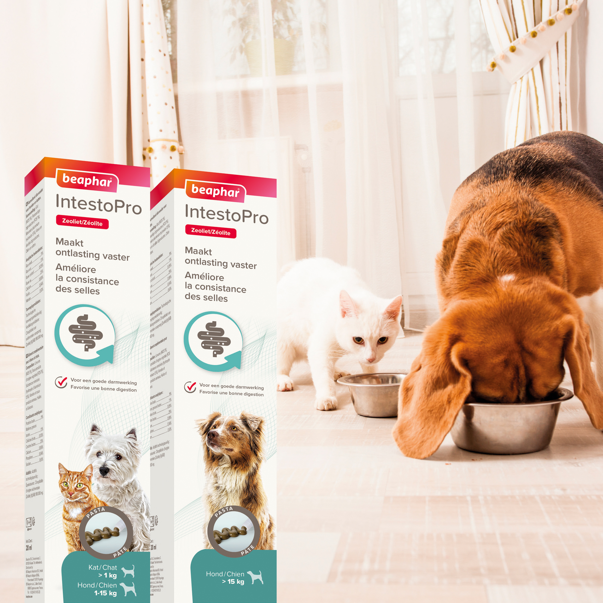 Beaphar IntestoPro Pasta kat/hond tot 15kg 20ml