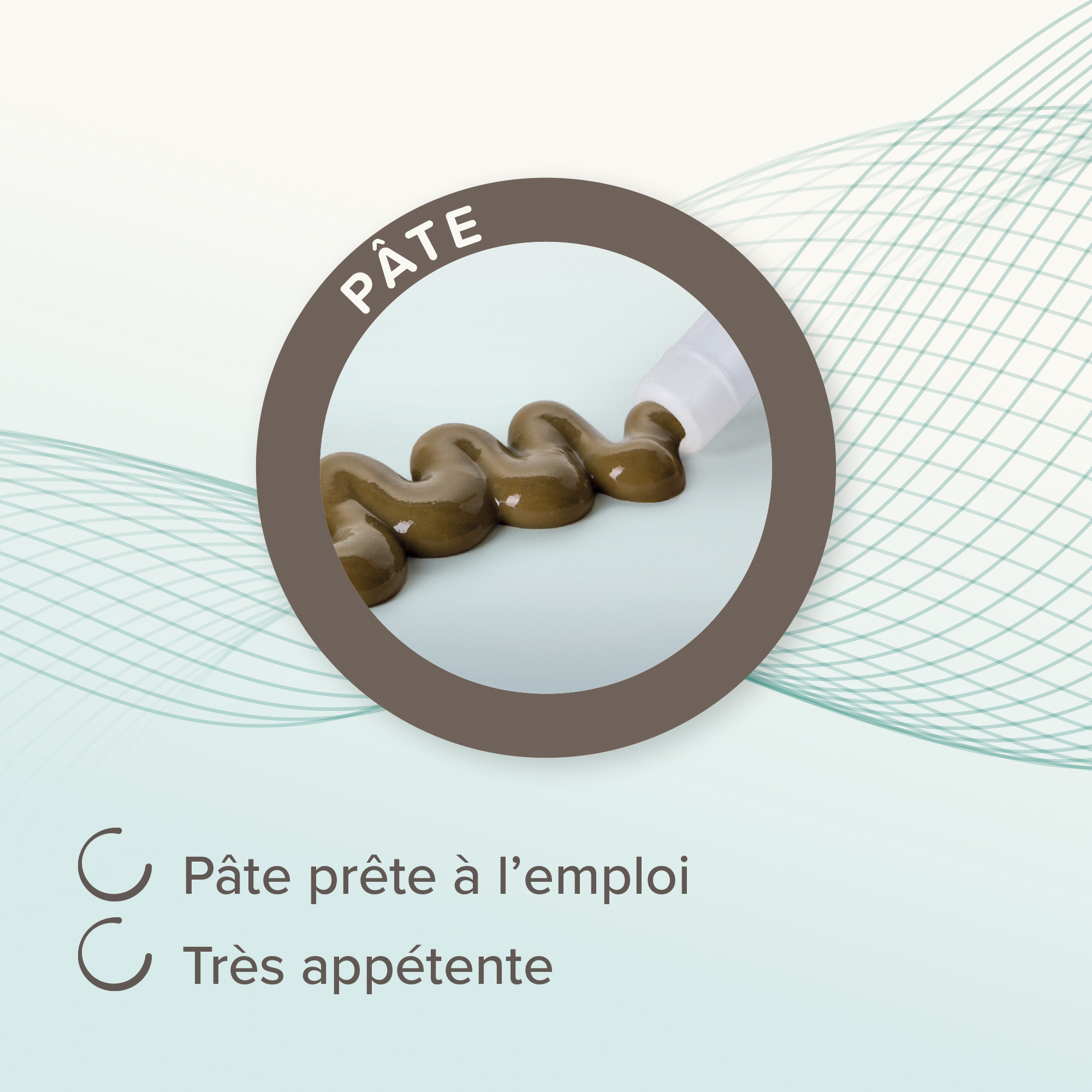 IntestoPro, pâte pour améliorer la consistance des selles pour chiens