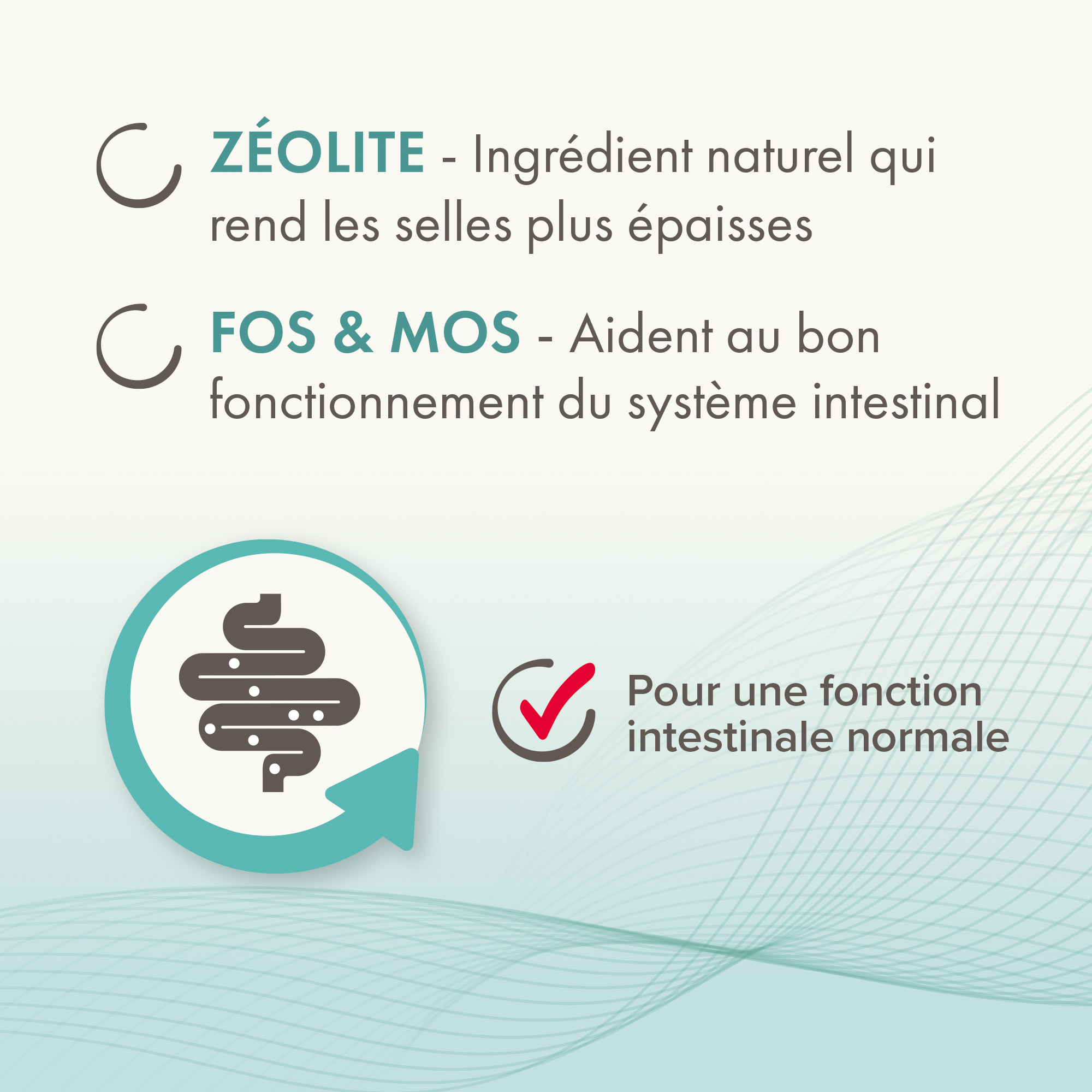 IntestoPro, pâte pour améliorer la consistance des selles pour chiens