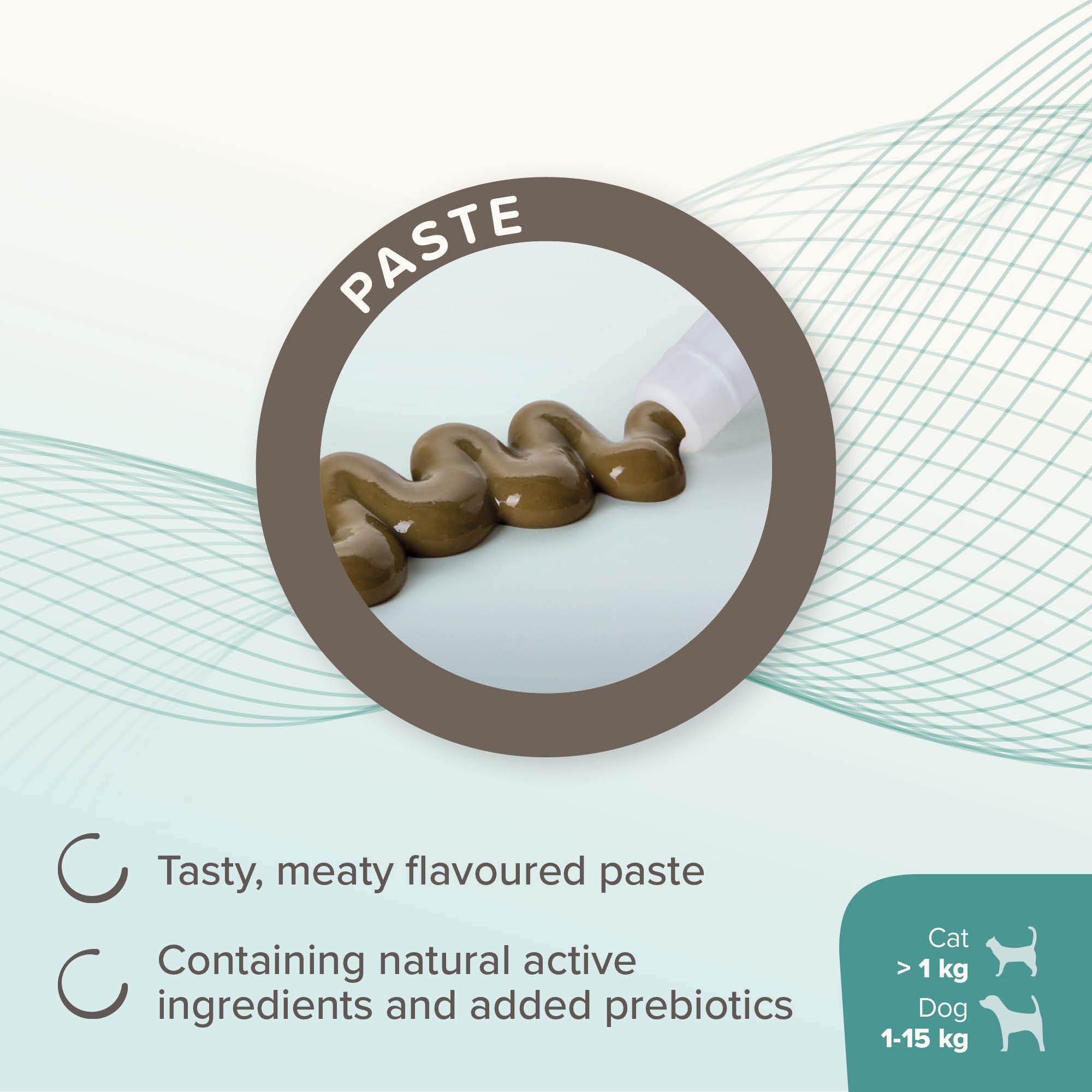 Beaphar IntestoPro Prebiotic Stool Firming Paste for Cats & Small Dogs (1-15kg), 1 x 20ml