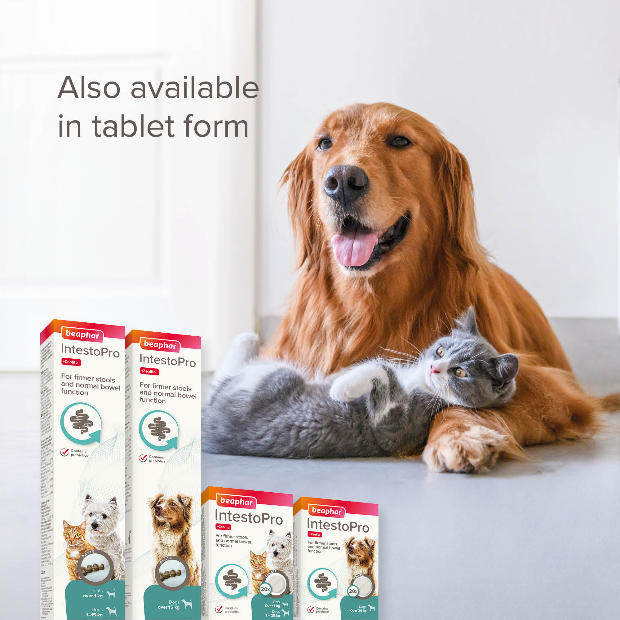 Beaphar IntestoPro Prebiotic Stool Firming Paste for Cats & Small Dogs (1-15kg), 1 x 20ml