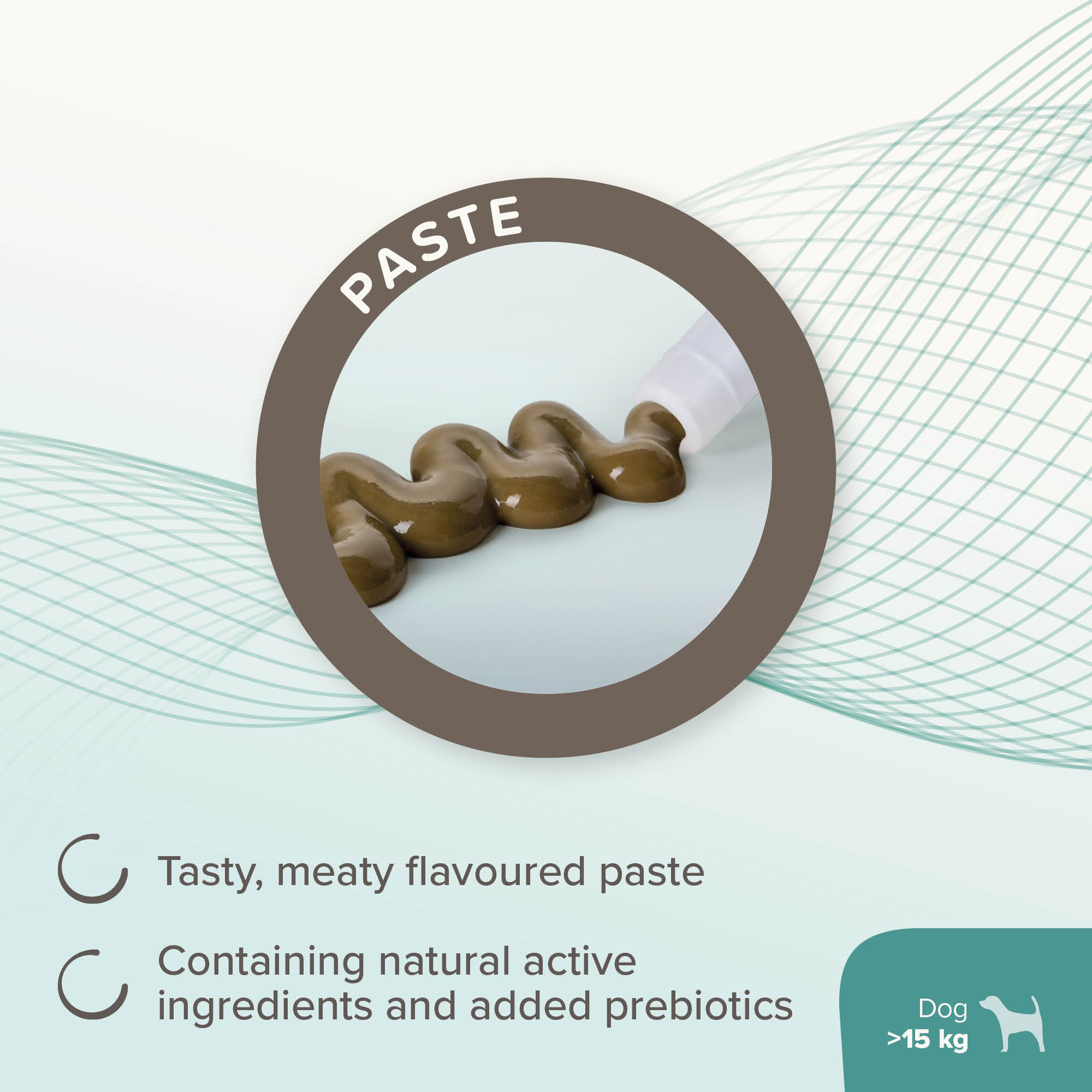 Beaphar IntestoPro Prebiotic Stool Firming Paste for Medium/Large Dogs (>15kg), 2 x 20ml