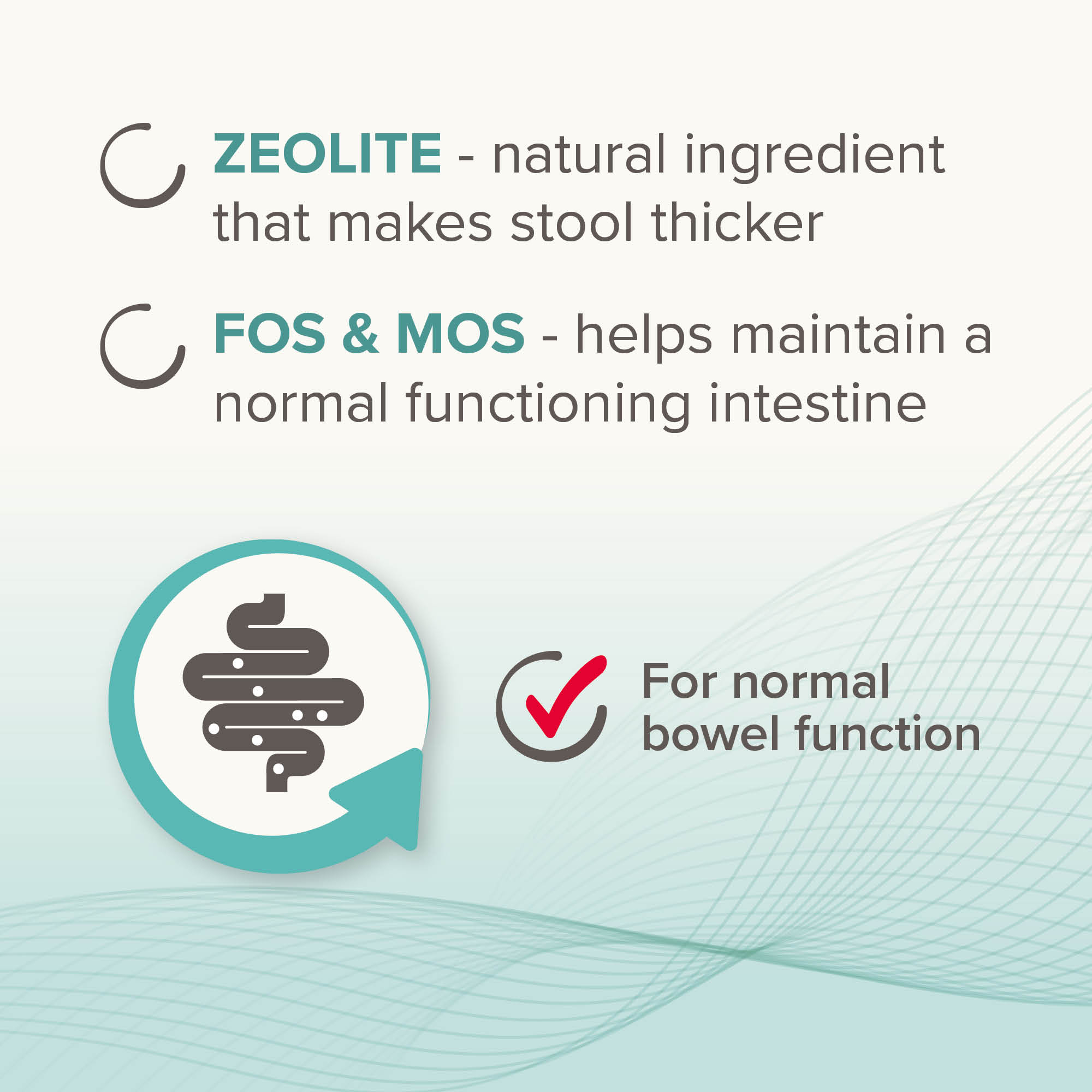 Beaphar IntestoPro Prebiotic Stool Firming Paste for Medium/Large Dogs (>15kg), 2 x 20ml