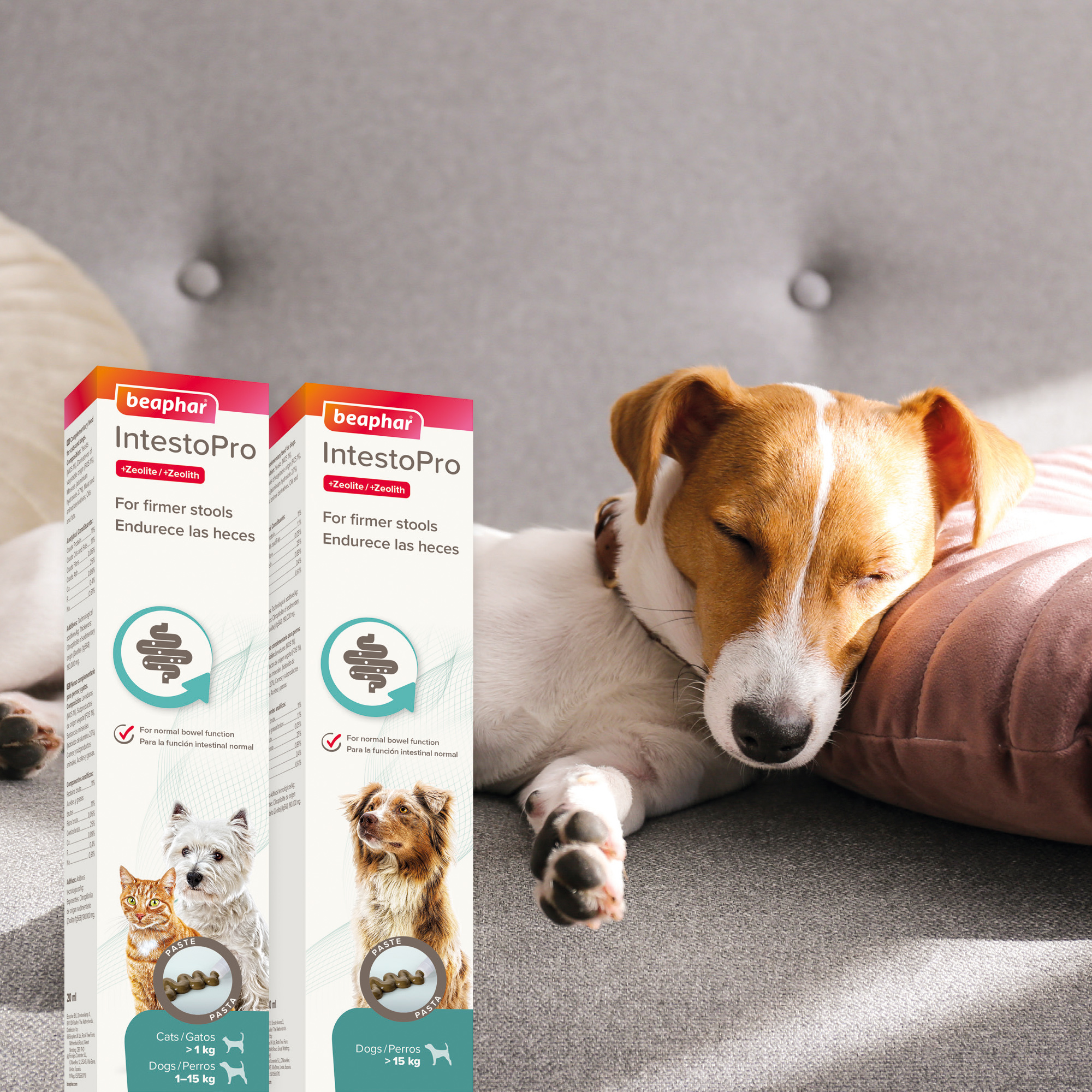 Beaphar IntestoPro Paste Medium & Large Dog