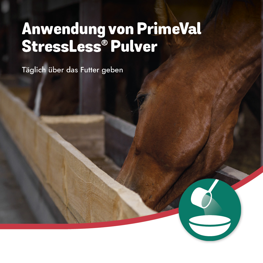 PrimeVal StressLess® Pulver 500g