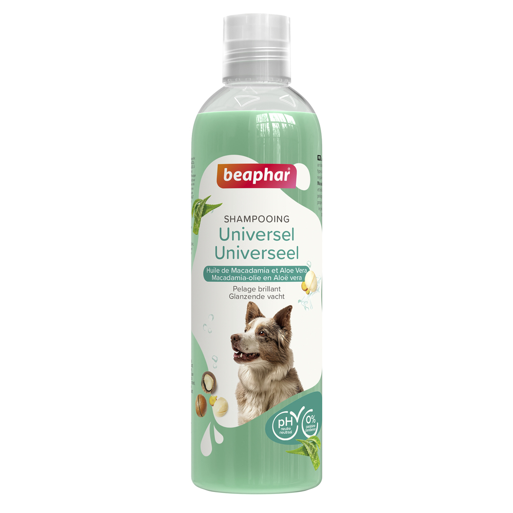 ESSENTIEL - Shampooing Universel pour chien - 250 ml