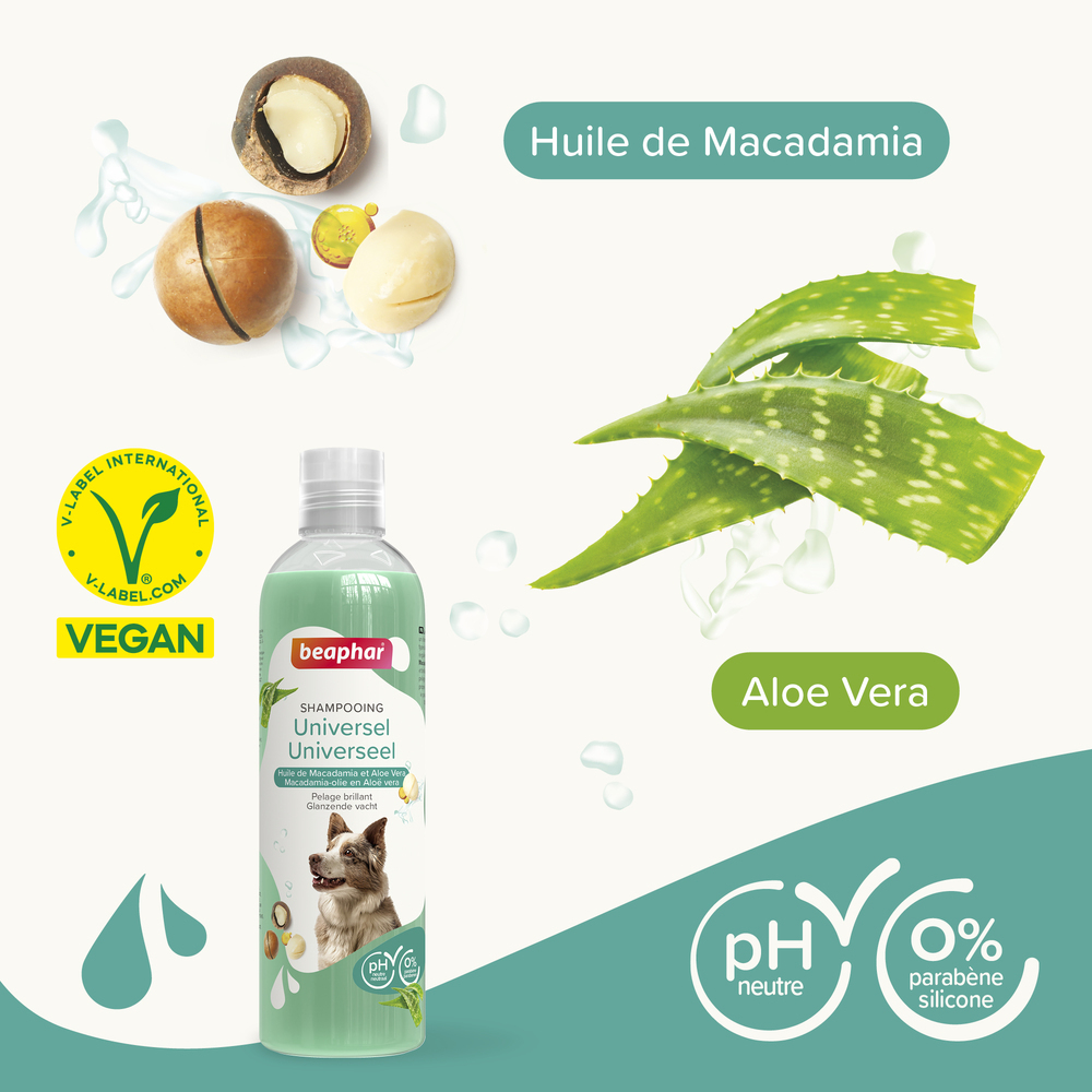 ESSENTIEL - Shampooing Universel pour chien - 250 ml