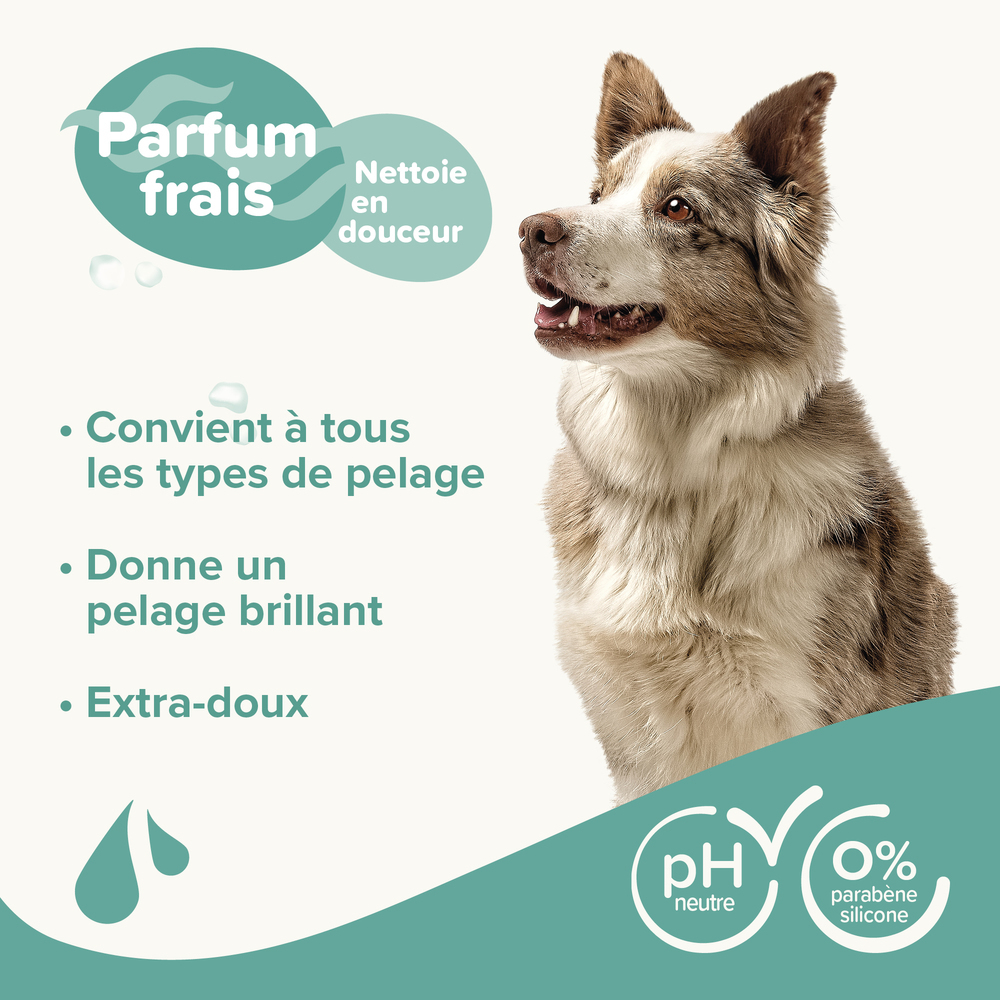 ESSENTIEL - Shampooing Universel pour chien - 250 ml