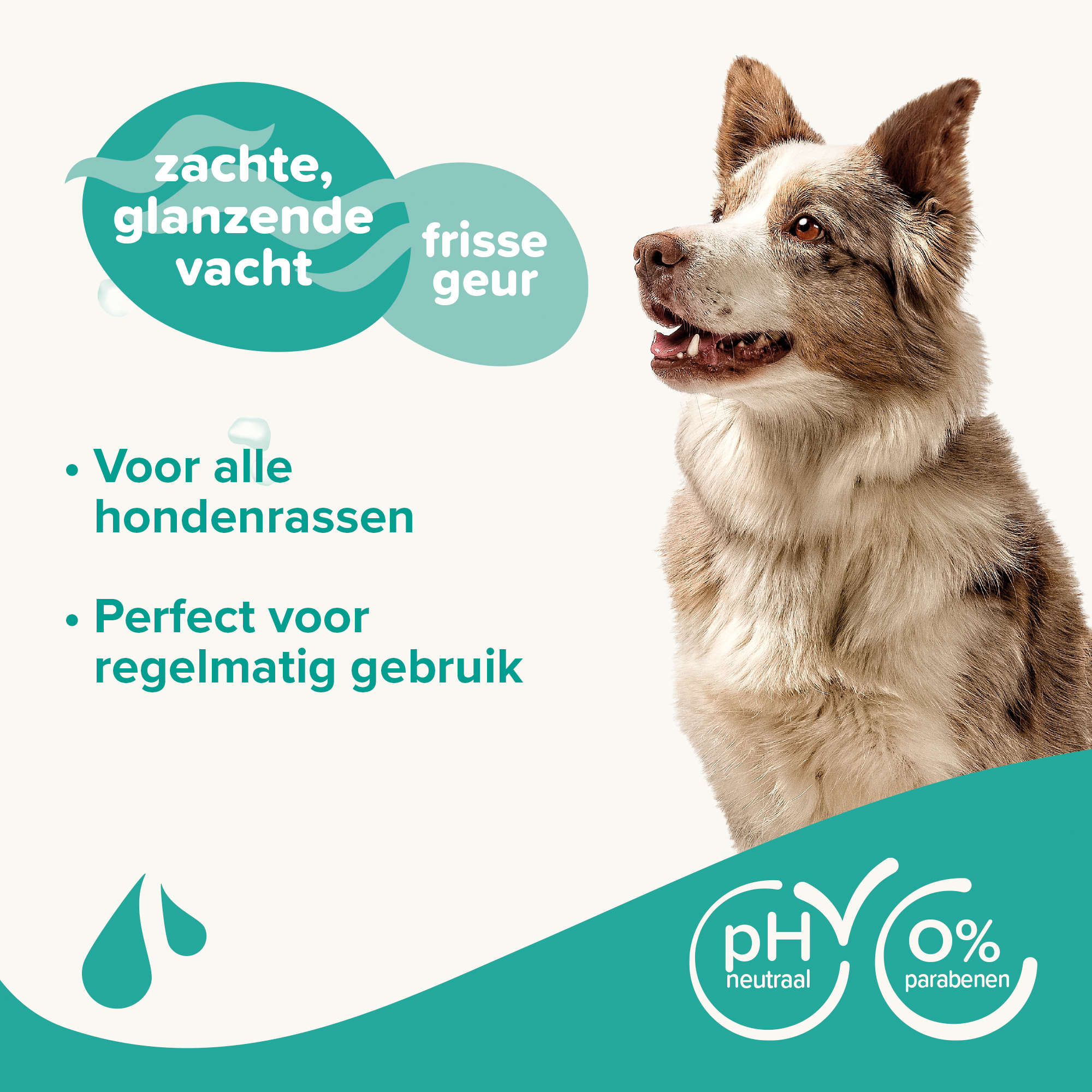 Shampoo Universeel Hond 1l