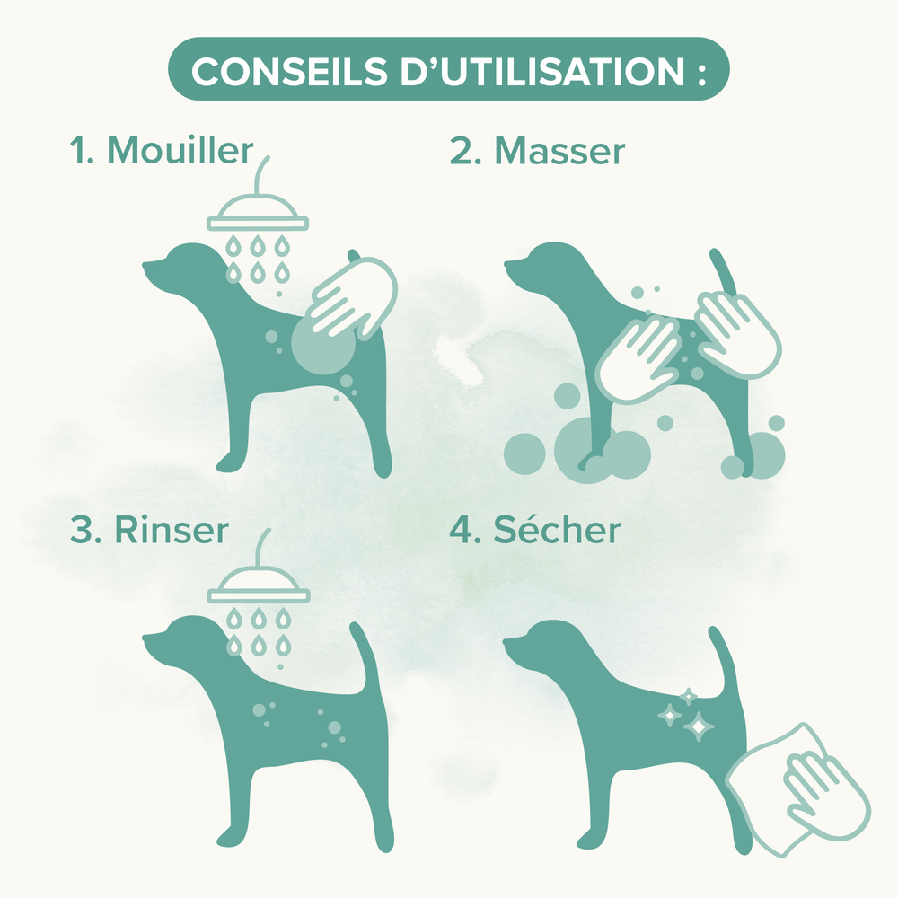 ESSENTIEL - Shampooing Universel pour chien - 1 L