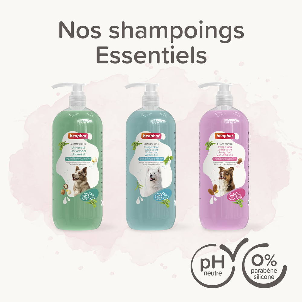 ESSENTIEL - Shampooing Universel pour chien - 1 L