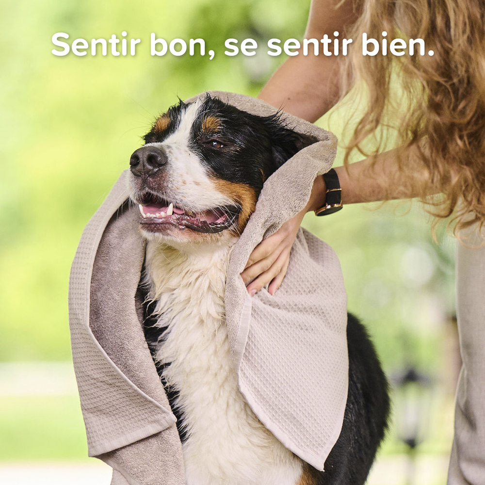 ESSENTIEL - Shampooing pour chiot - 250 ml