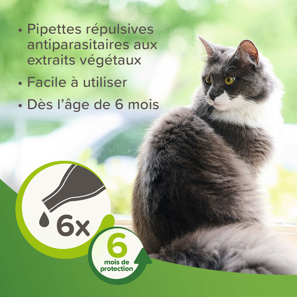 VETOpure, pipettes répulsives antiparasitaires à l'Eucalyptus pour chat x 6 (dont 2 offertes)