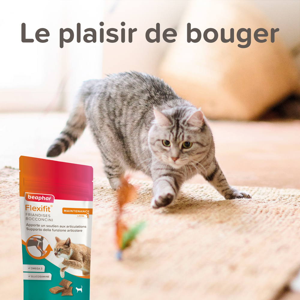 Flexifit®, Friandises articulations pour chat - 35g