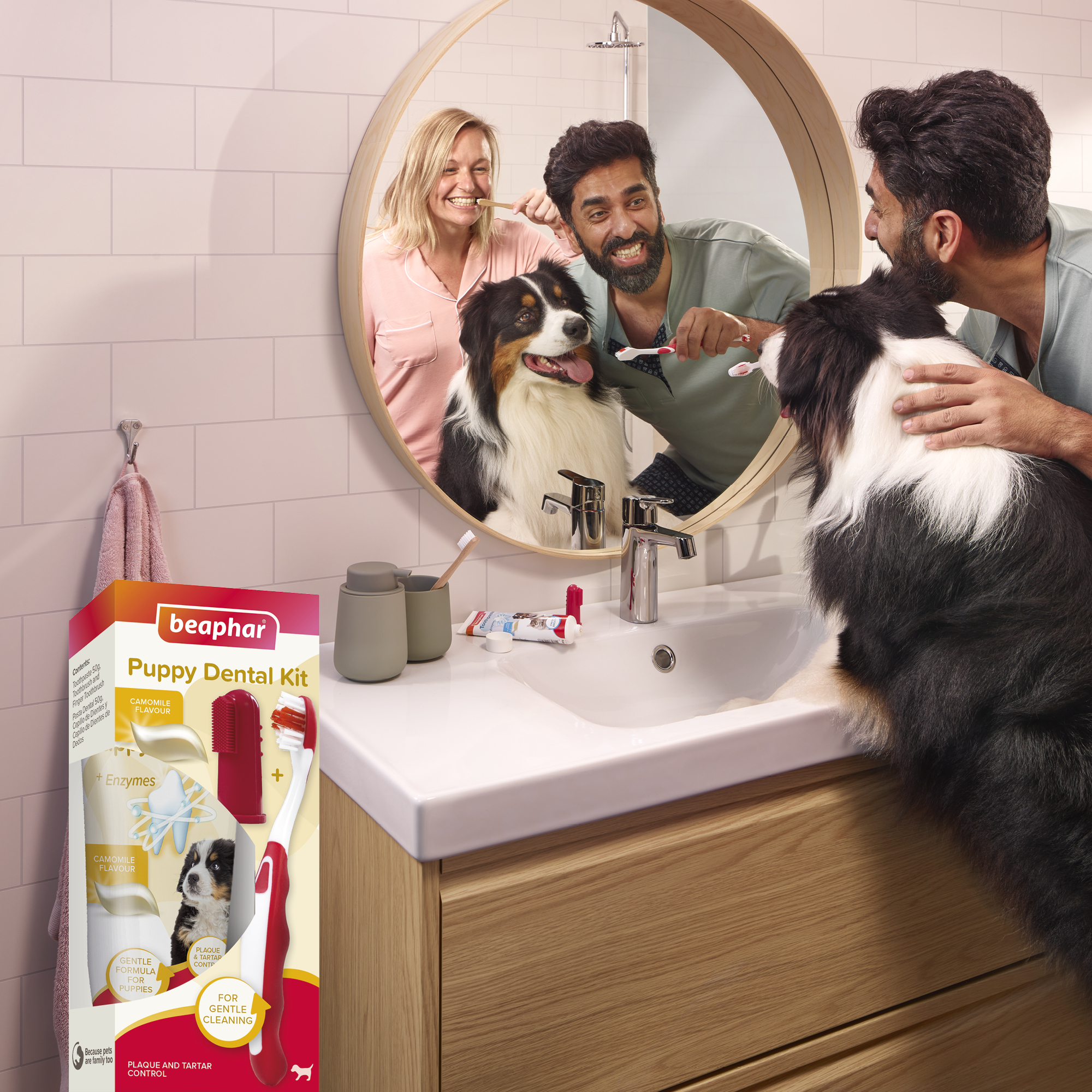 Beaphar Puppy Dental Kit, 1 x toothbrush, 1 x finger toothbrush, 1 x 50g camomile-flavoured toothpaste