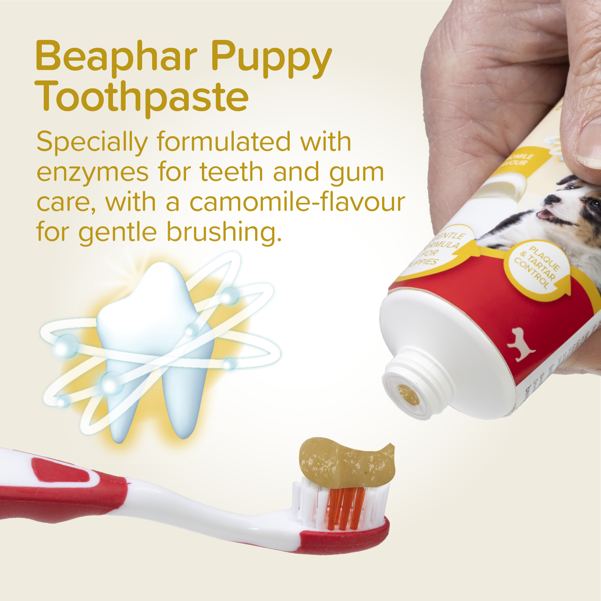 Beaphar Puppy Dental Kit, 1 x toothbrush, 1 x finger toothbrush, 1 x 50g camomile-flavoured toothpaste