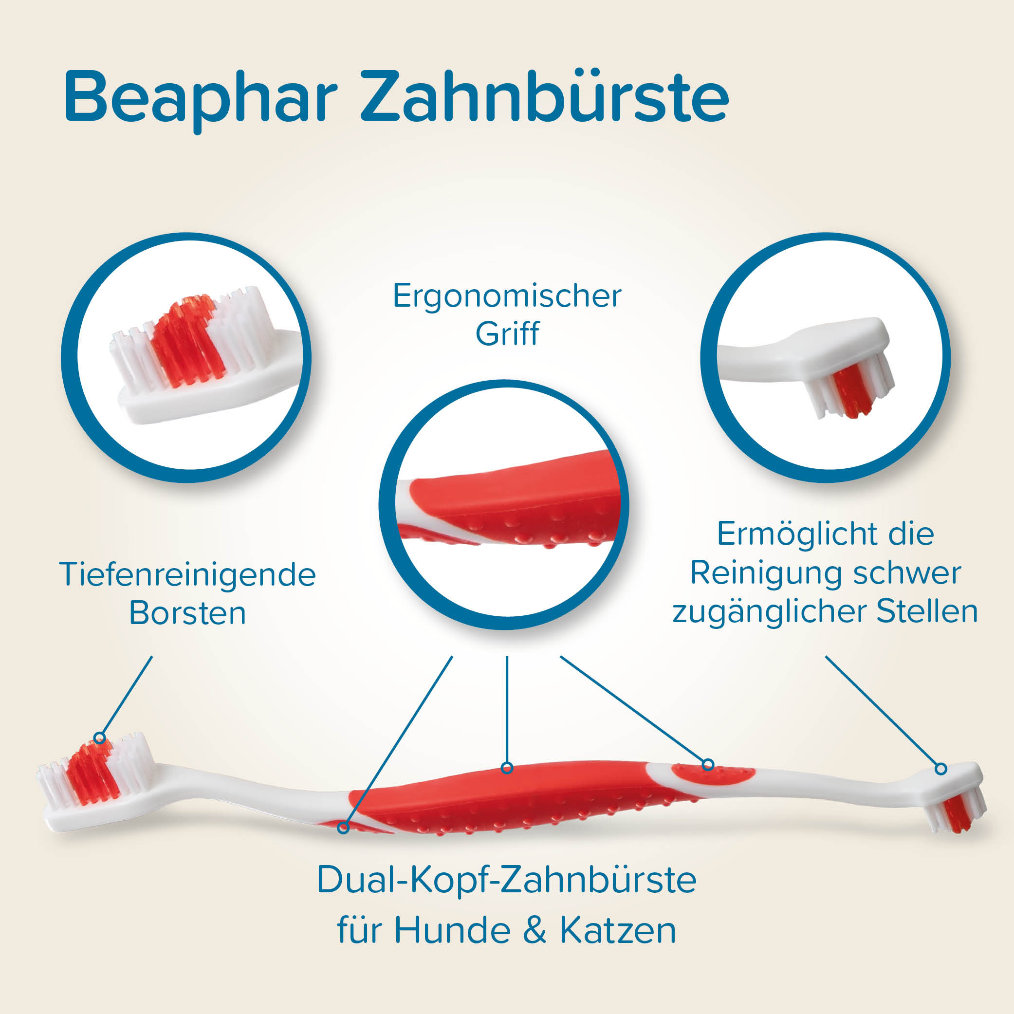 Beaphar Zahnpflege Set (Zahnpasta & Bürste)