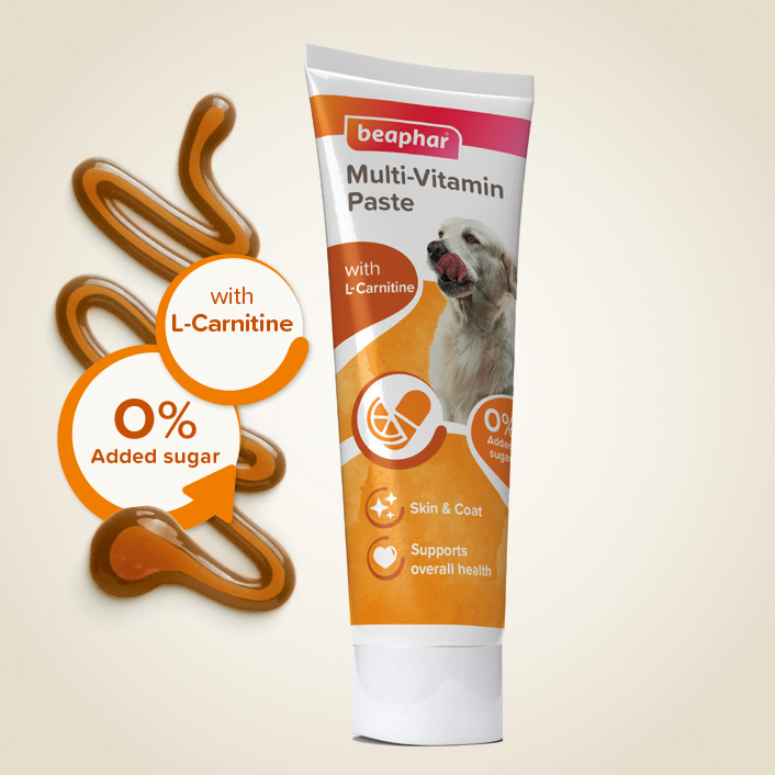 Beaphar Multi Vitamin Paste Dog