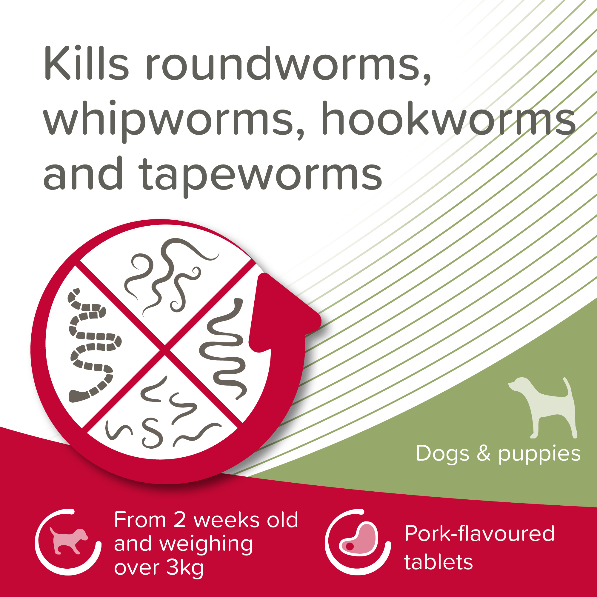 Beaphar WORMclear® Worming Tablets for Dogs (up to 40kg) – 4 Tablets