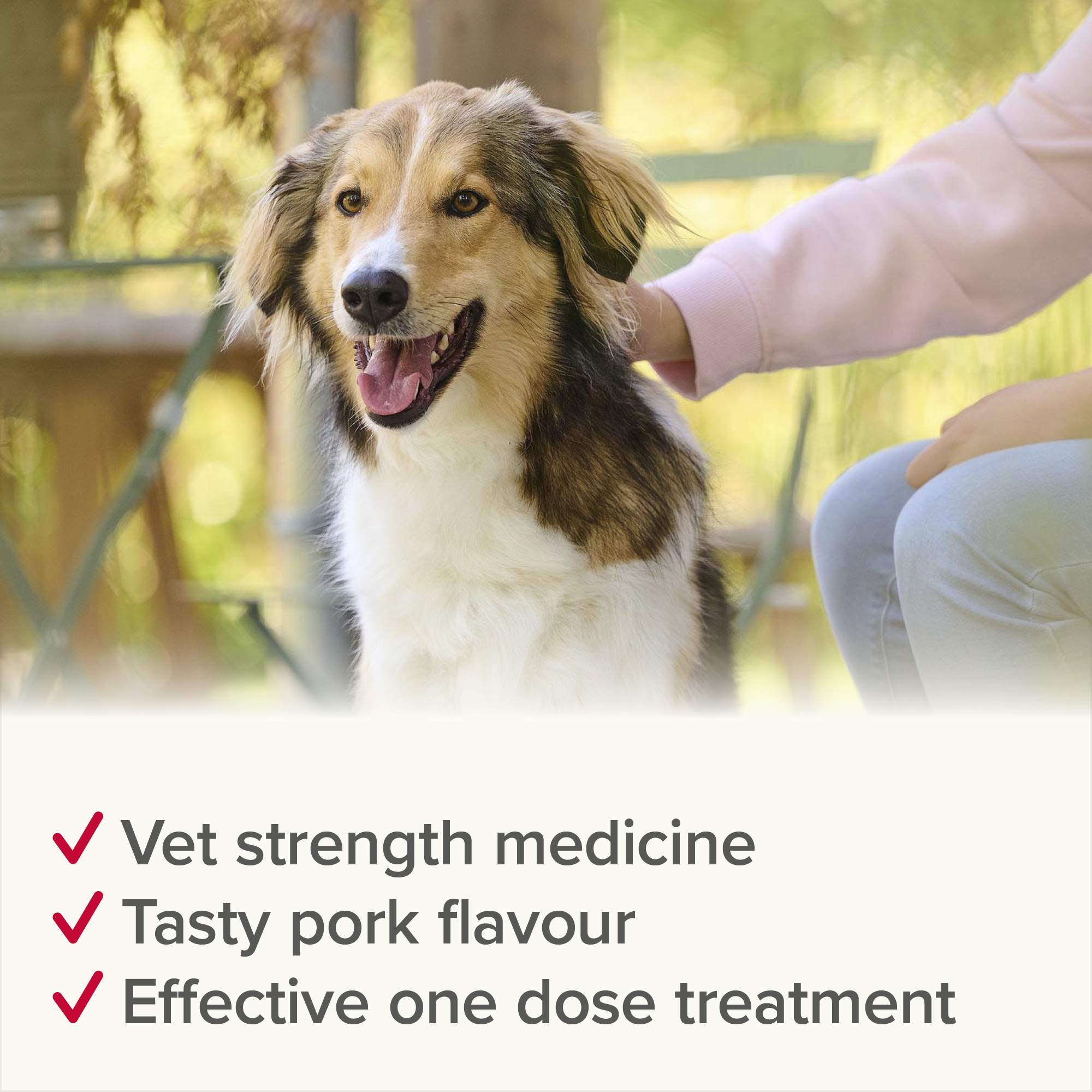 Beaphar WORMclear® Worming Tablets for Dogs (up to 40kg) – 4 Tablets