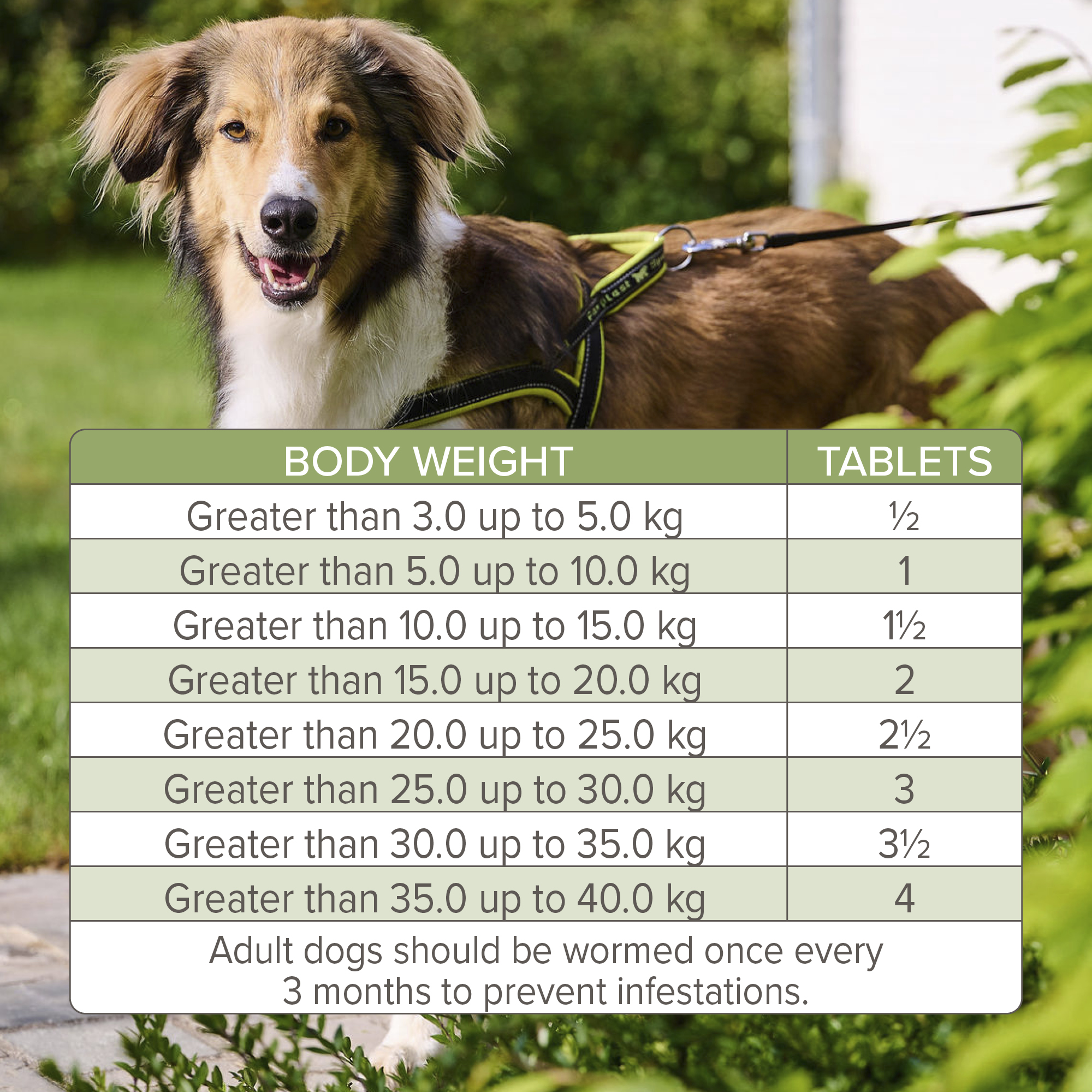 Beaphar WORMclear® Worming Tablets for Dogs (up to 40kg) – 4 Tablets