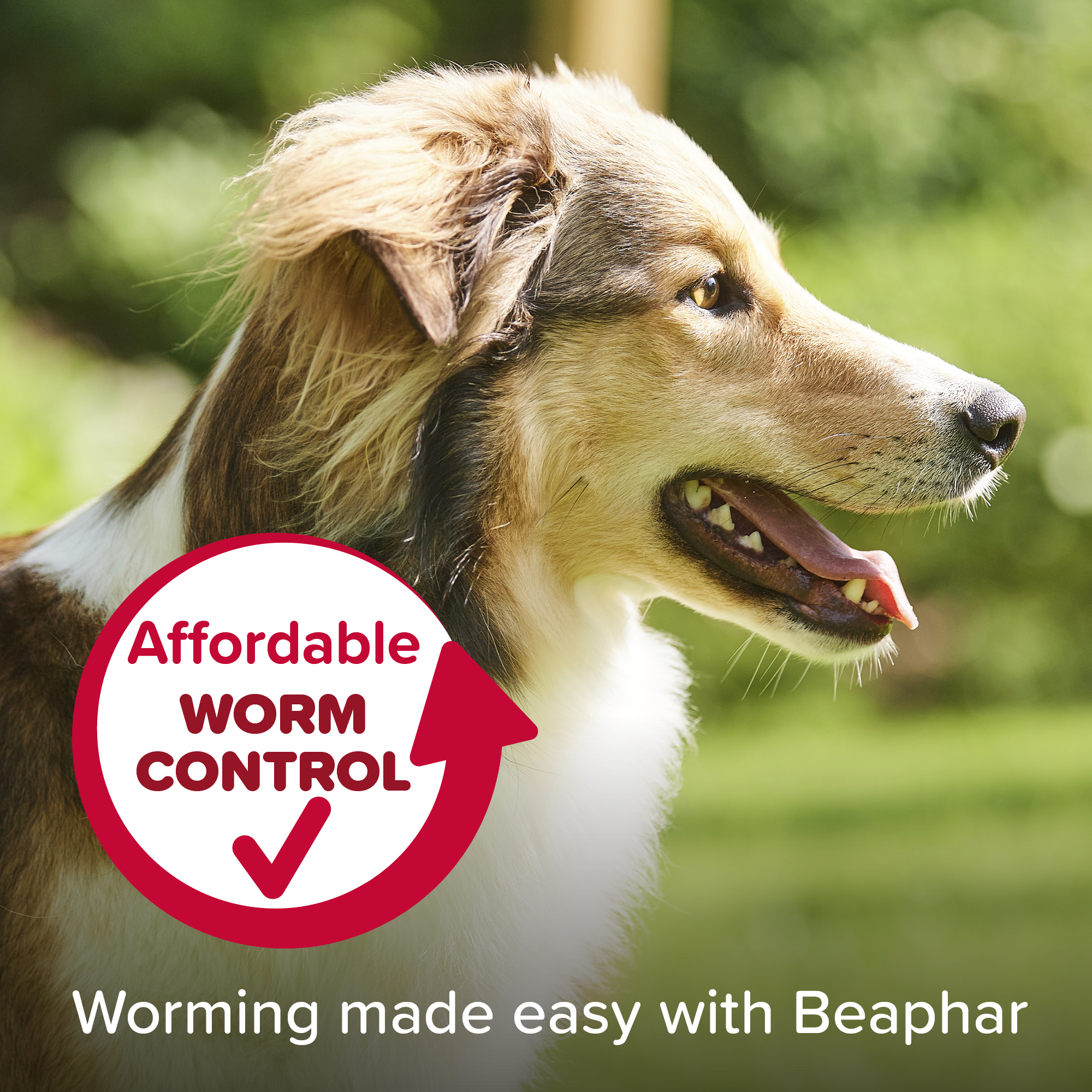 Beaphar WORMclear® Worming Tablets for Dogs (up to 40kg) – 4 Tablets