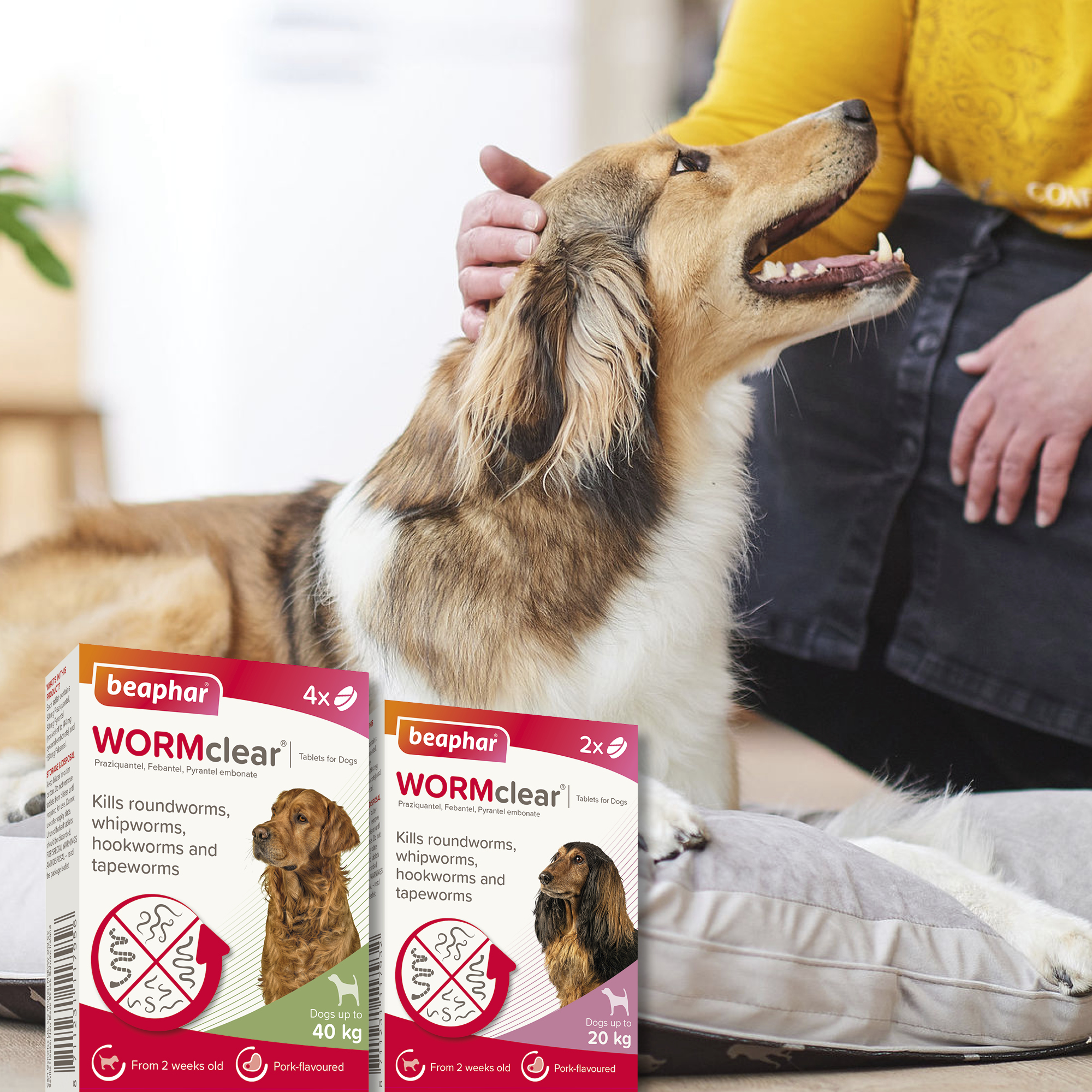 Beaphar WORMclear® Worming Tablets for Dogs (up to 40kg) – 4 Tablets