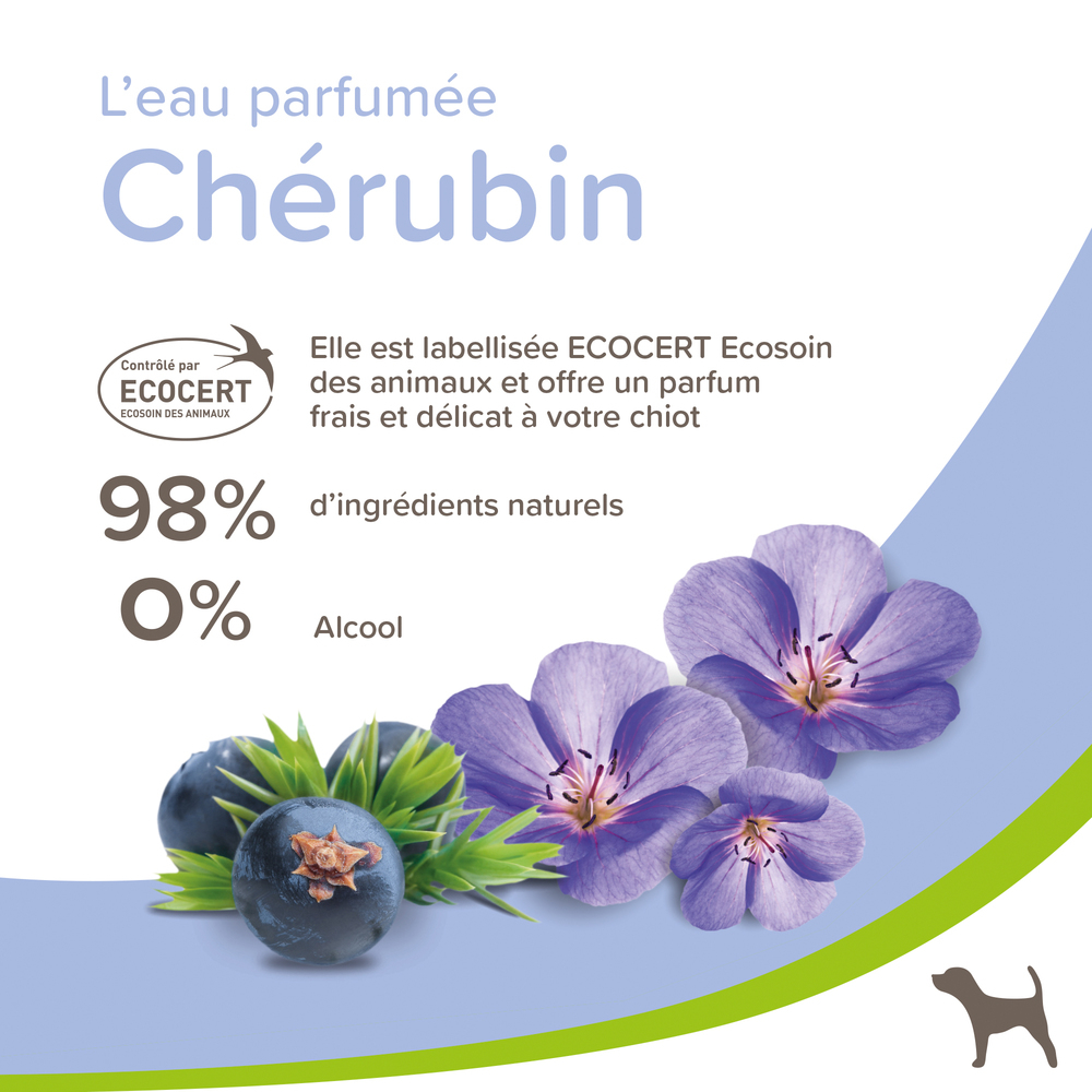Eau Parfumée Chérubin pour Chiot