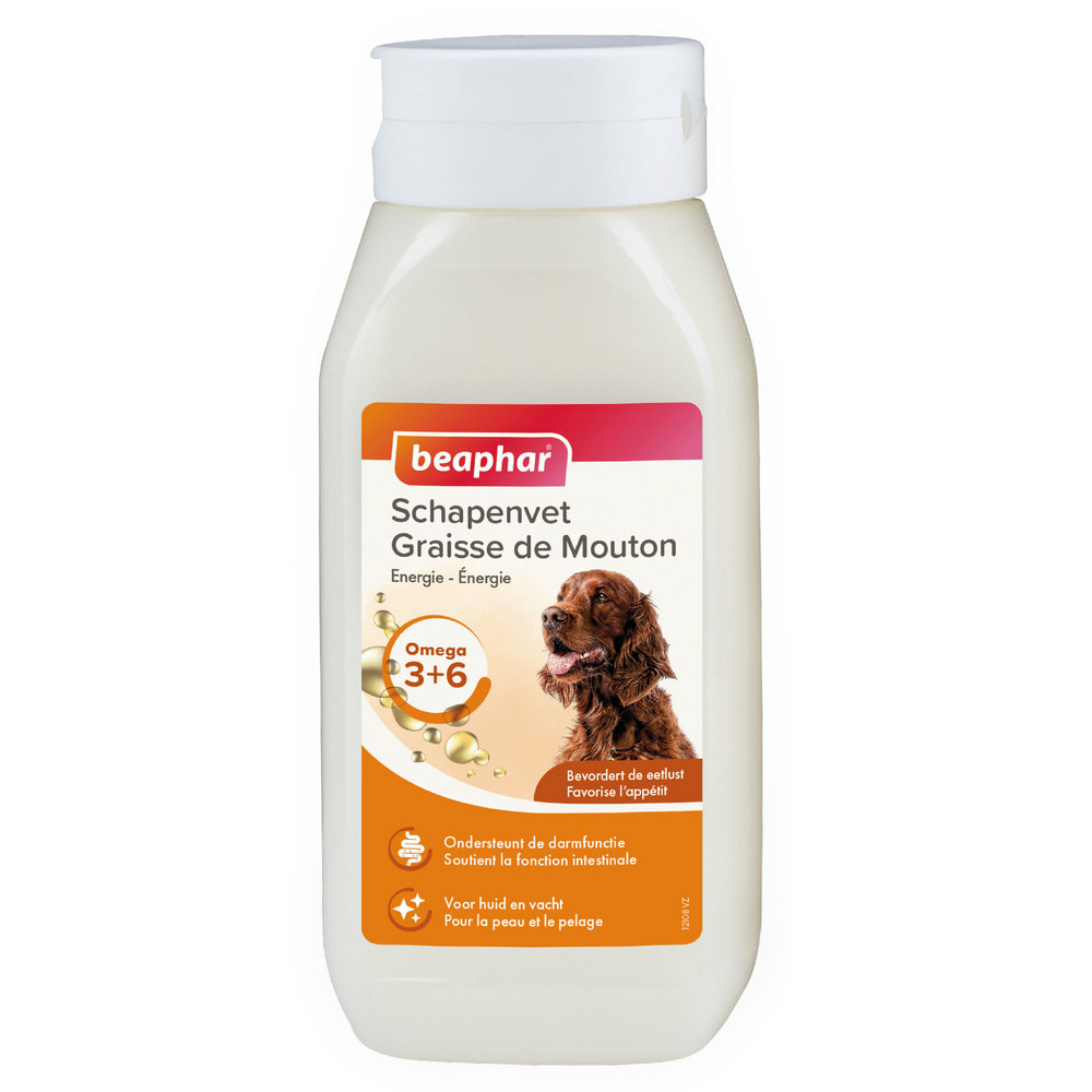 Graisse de mouton pour chien