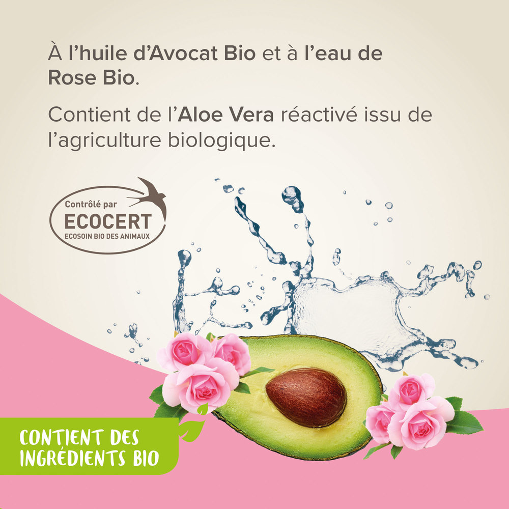 Shampoing labellisé ECOCERT pour chat et chaton - 200 ml