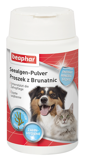 DENTAL POWDER 75G - brunatnice; zapobiega przykremu zapachowi z j. ustnej