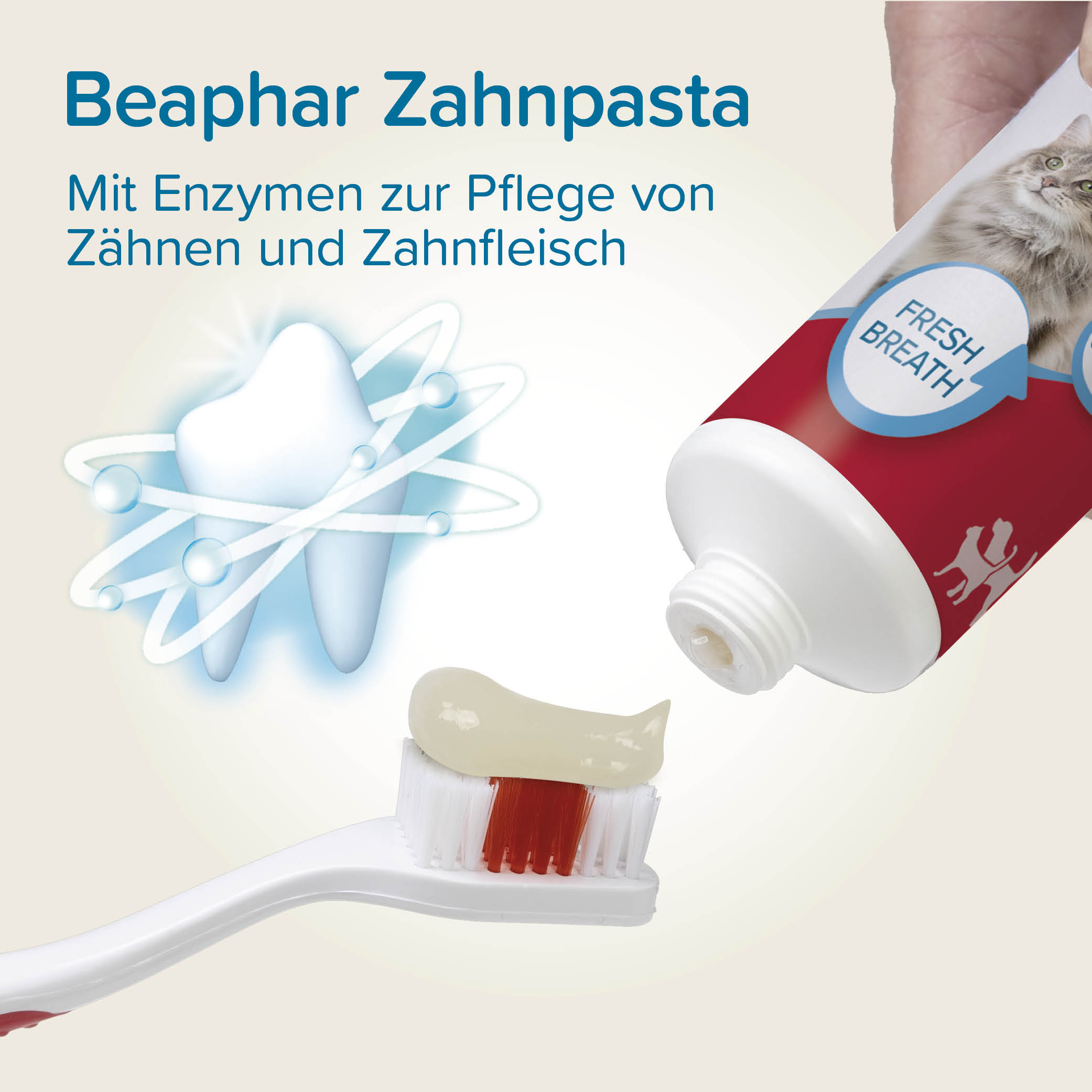 Beaphar Zahnpflege Set (Zahnpasta & Bürste)