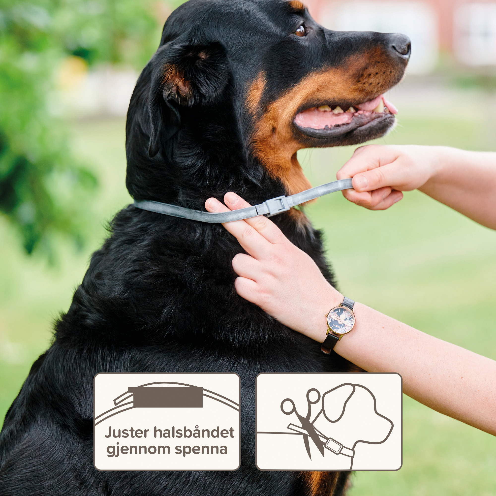 Beaphar Bio halsbånd hund 65cm