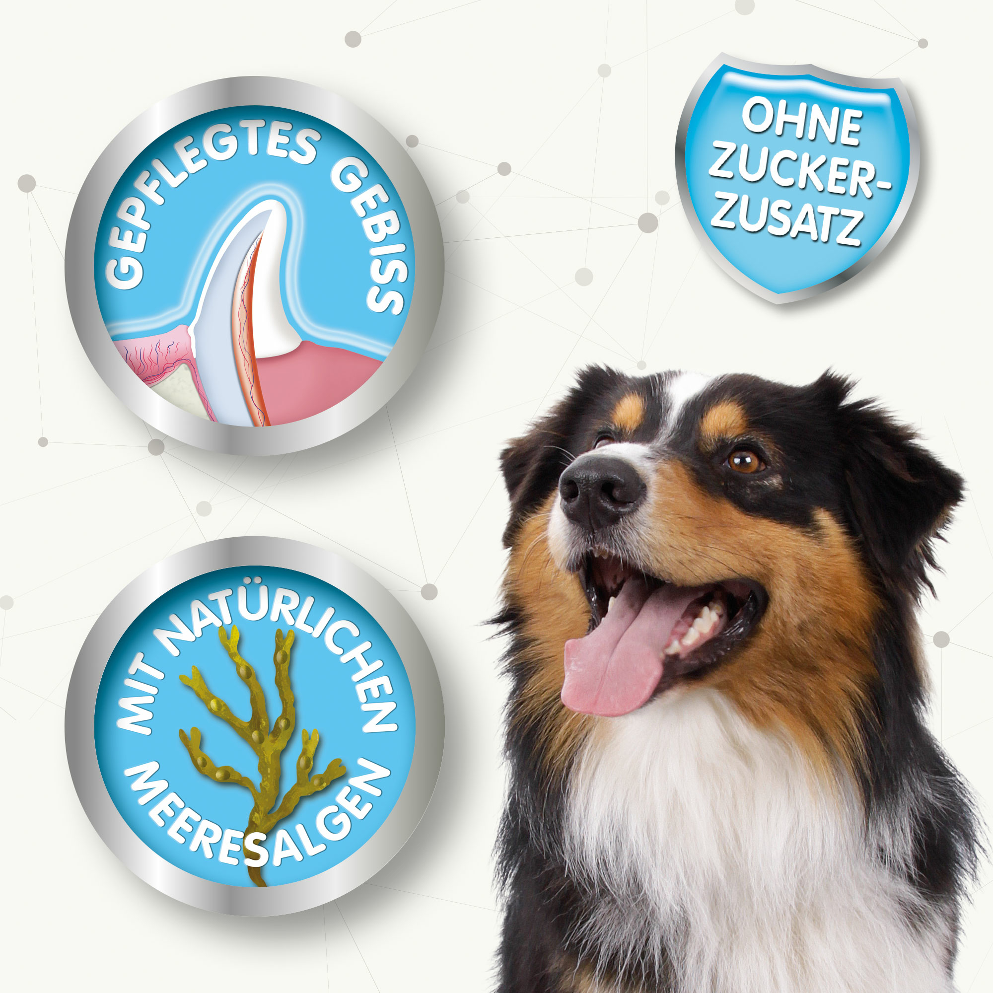 Zahnpflege Sticks für Hunde ab 10kg