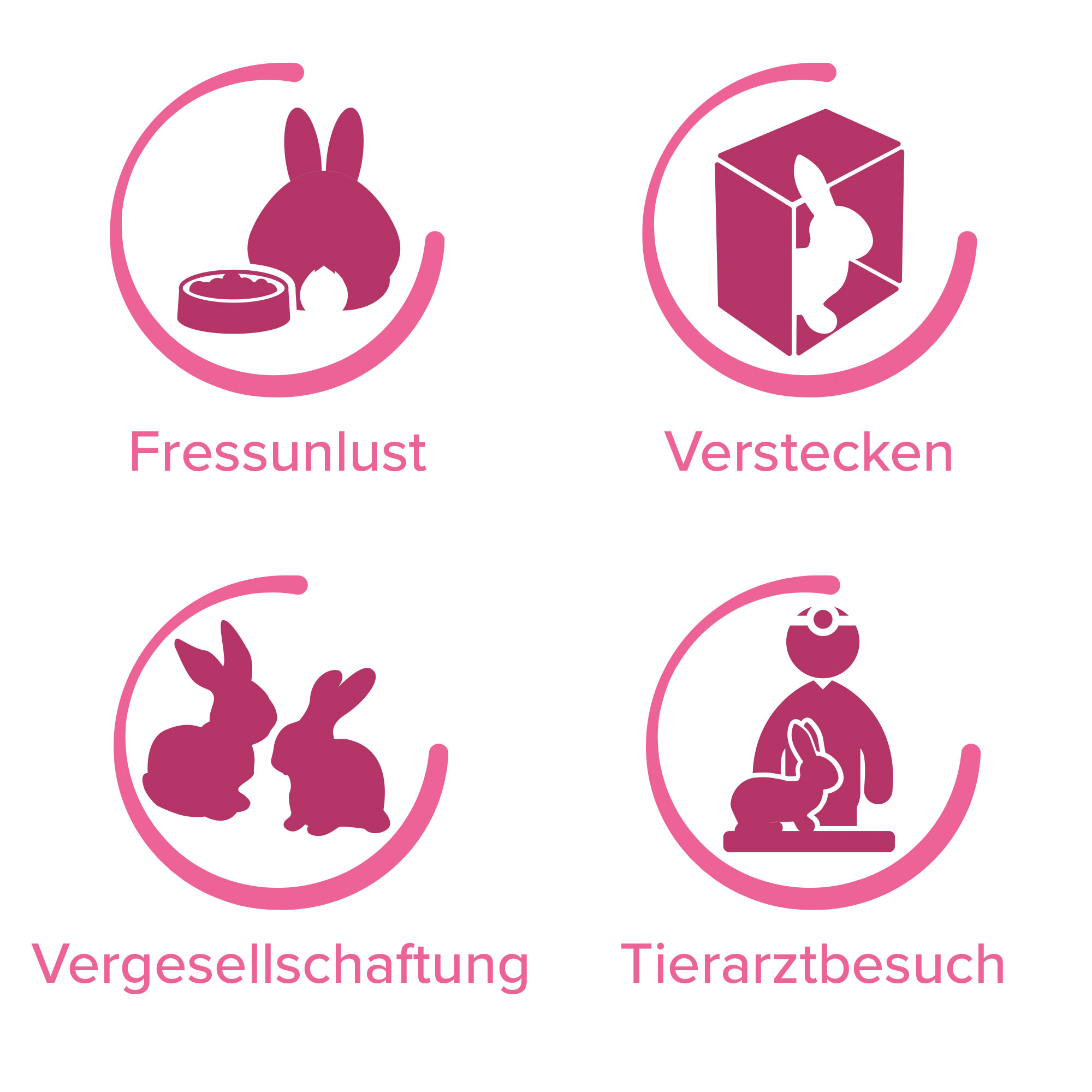 RabbitComfort® Wohlfühl-Spray, 30ml