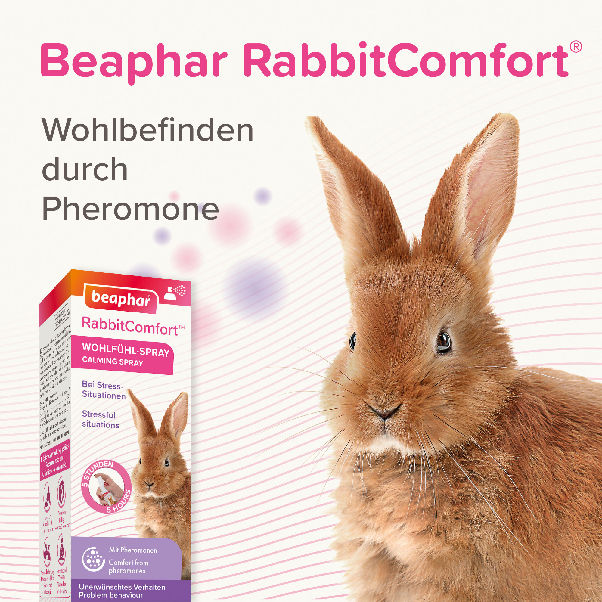 RabbitComfort® Wohlfühl-Spray, 30ml