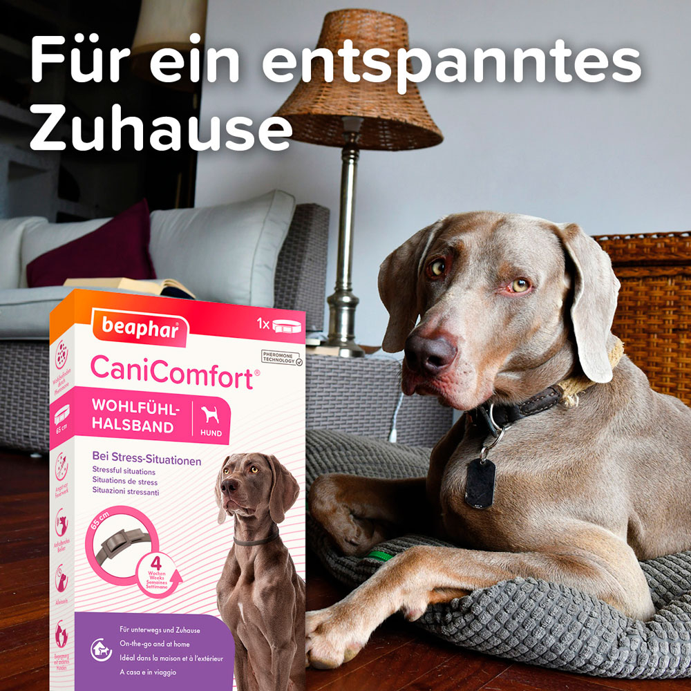CaniComfort® Wohlfühl-Halsband, 65cm
