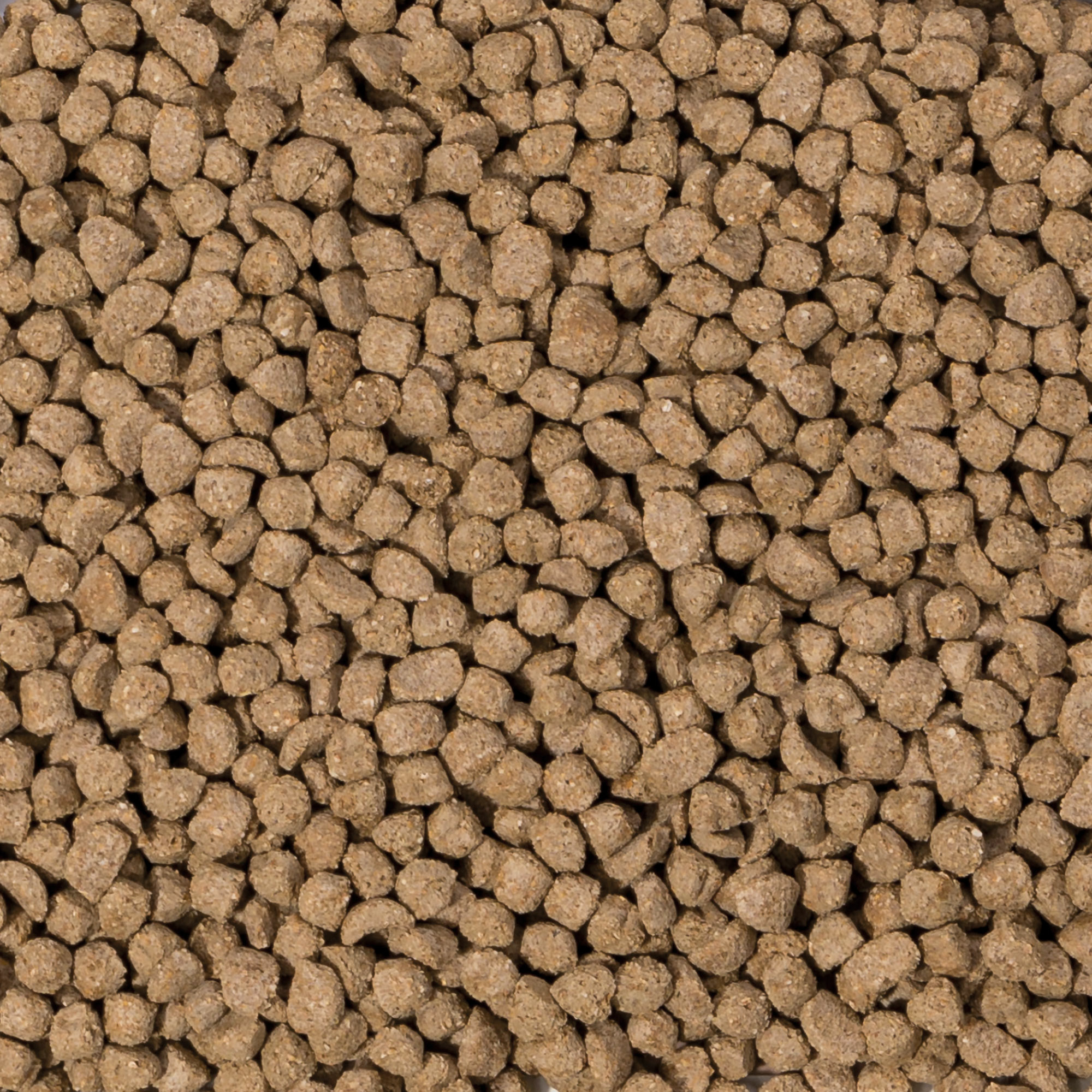 Care+ Kaninchen Junior - 10kg