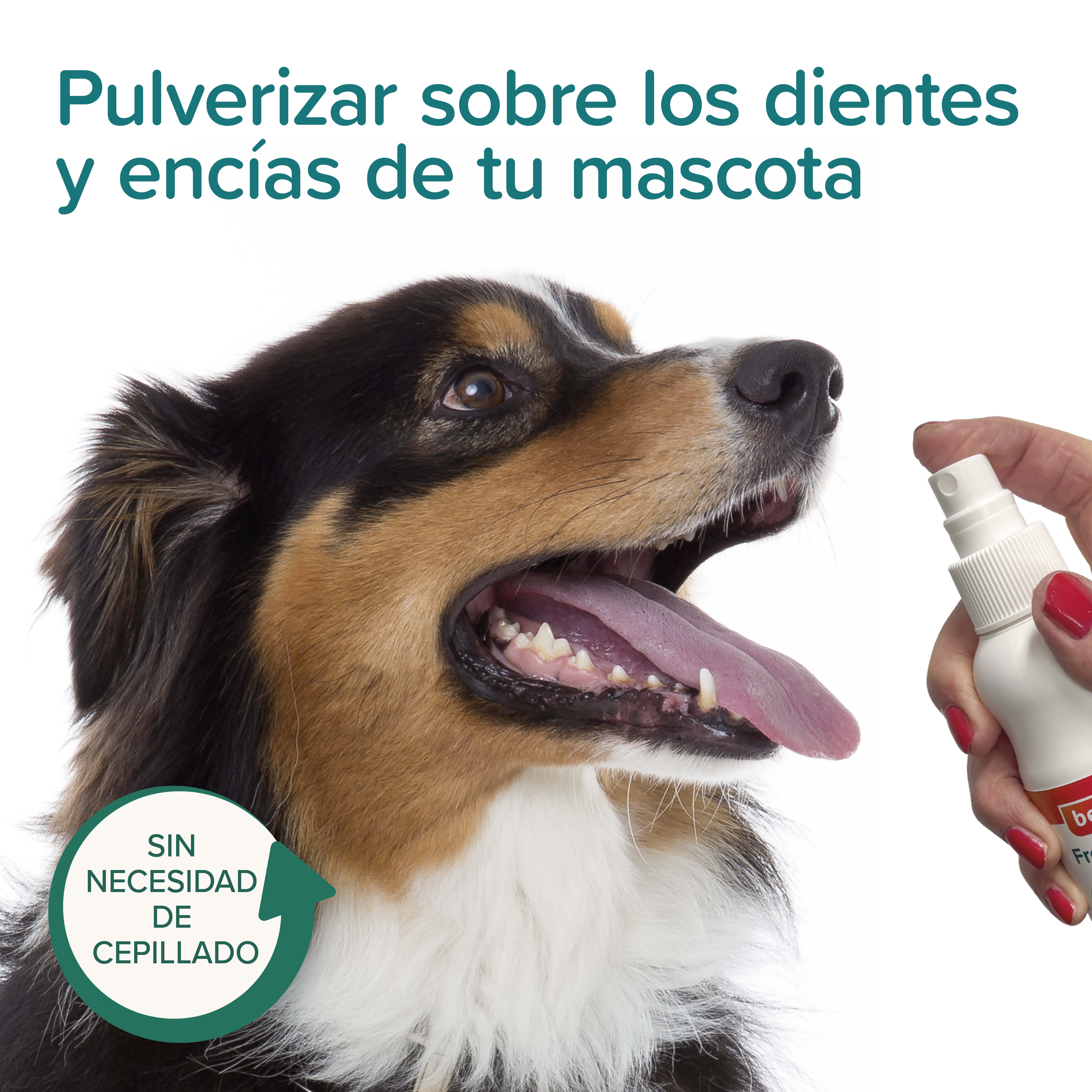 Spray Aliento Fresco Perro Y Gato 150ml
