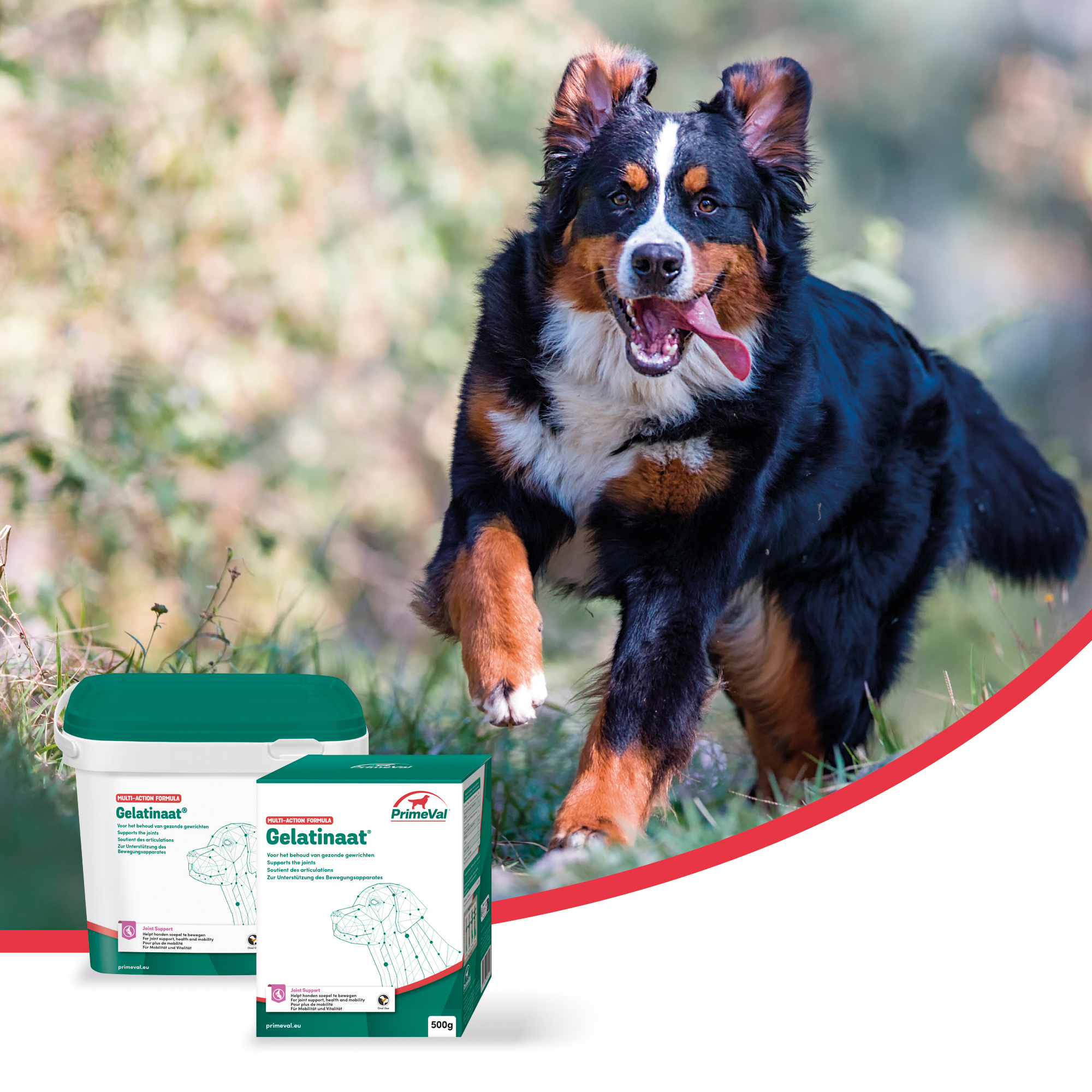 PrimeVal Gelatinaat® hond 500 g