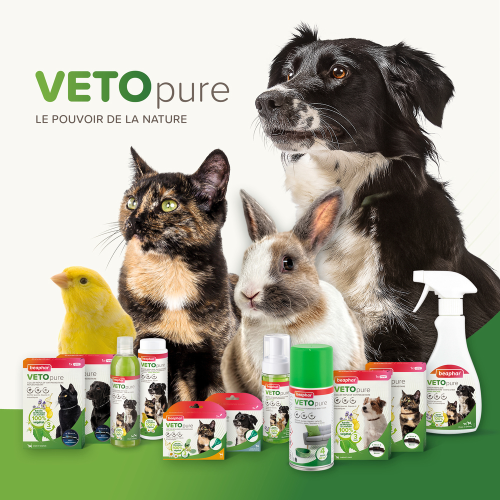 VETOpure, collier répulsif antiparasitaire réfléchissant pour chien