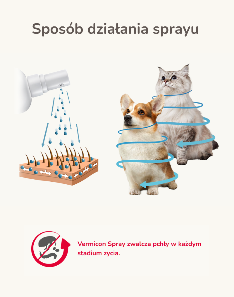 CANISHIELD L 65CM - obroża lecznicza z deltametryną dla psów